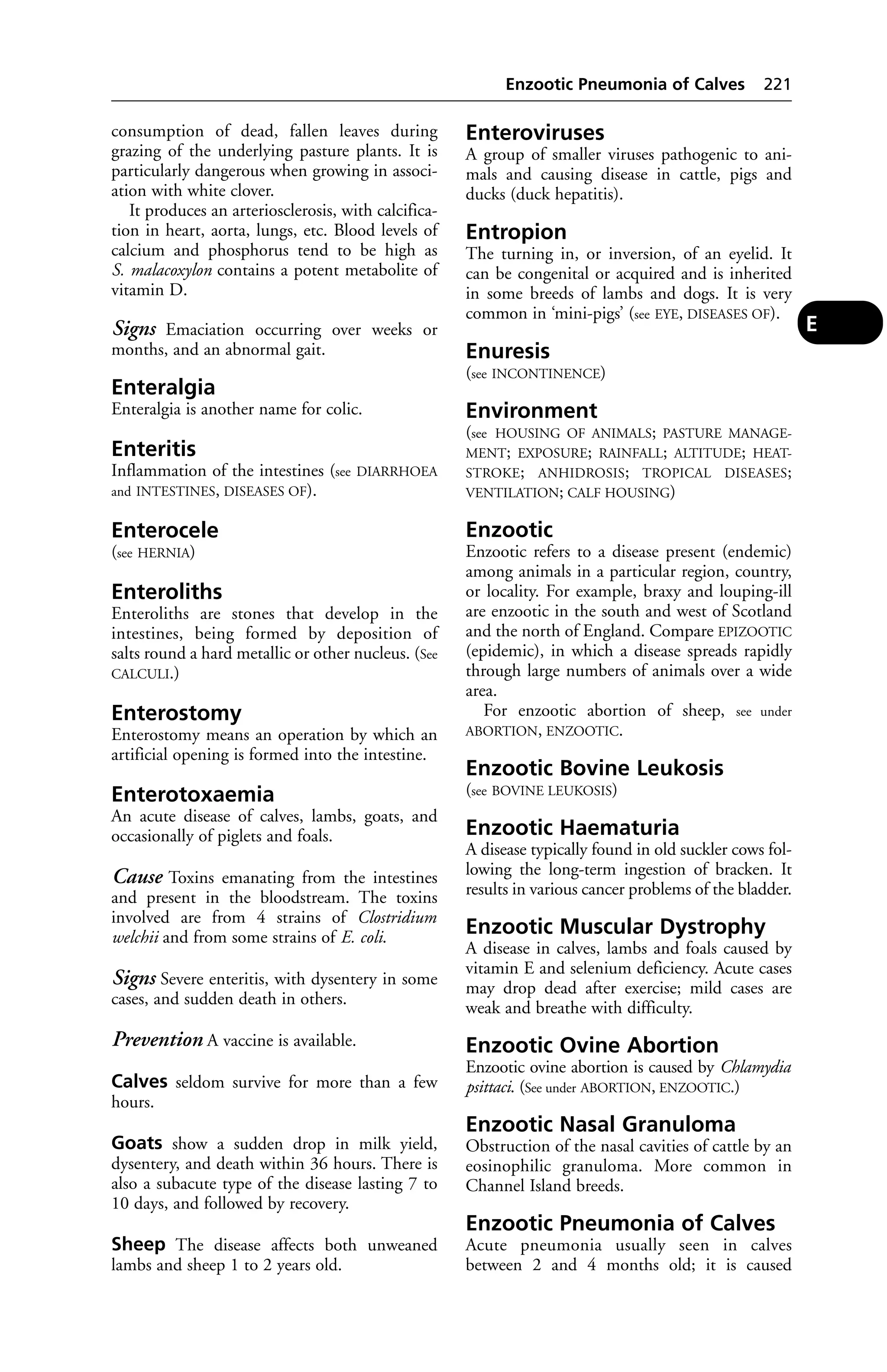consumption of dead, fallen leaves during 
grazing of the underlying pasture plants. It is 
particularly dangerous when growing in associ-ation 
with white clover. 
It produces an arteriosclerosis, with calcifica-tion 
in heart, aorta, lungs, etc. Blood levels of 
calcium and phosphorus tend to be high as 
S. malacoxylon contains a potent metabolite of 
vitamin D. 
Signs Emaciation occurring over weeks or 
months, and an abnormal gait. 
Enteralgia 
Enteralgia is another name for colic. 
Enteritis 
Inflammation of the intestines (see DIARRHOEA 
and INTESTINES, DISEASES OF). 
Enterocele 
(see HERNIA) 
Enteroliths 
Enteroliths are stones that develop in the 
intestines, being formed by deposition of 
salts round a hard metallic or other nucleus. (See 
CALCULI.) 
Enterostomy 
Enterostomy means an operation by which an 
artificial opening is formed into the intestine. 
Enterotoxaemia 
An acute disease of calves, lambs, goats, and 
occasionally of piglets and foals. 
Cause Toxins emanating from the intestines 
and present in the bloodstream. The toxins 
involved are from 4 strains of Clostridium 
welchii and from some strains of E. coli. 
Signs Severe enteritis, with dysentery in some 
cases, and sudden death in others. 
Prevention A vaccine is available. 
Calves seldom survive for more than a few 
hours. 
Goats show a sudden drop in milk yield, 
dysentery, and death within 36 hours. There is 
also a subacute type of the disease lasting 7 to 
10 days, and followed by recovery. 
Sheep The disease affects both unweaned 
lambs and sheep 1 to 2 years old. 
Enzootic Pneumonia of Calves 221 
Enteroviruses 
A group of smaller viruses pathogenic to ani-mals 
and causing disease in cattle, pigs and 
ducks (duck hepatitis). 
Entropion 
The turning in, or inversion, of an eyelid. It 
can be congenital or acquired and is inherited 
in some breeds of lambs and dogs. It is very 
common in ‘mini-pigs’ (see EYE, DISEASES OF). 
Enuresis 
(see INCONTINENCE) 
Environment 
(see HOUSING OF ANIMALS; PASTURE MANAGE-MENT; 
EXPOSURE; RAINFALL; ALTITUDE; HEAT-STROKE; 
ANHIDROSIS; TROPICAL DISEASES; 
VENTILATION; CALF HOUSING) 
Enzootic 
Enzootic refers to a disease present (endemic) 
among animals in a particular region, country, 
or locality. For example, braxy and louping-ill 
are enzootic in the south and west of Scotland 
and the north of England. Compare EPIZOOTIC 
(epidemic), in which a disease spreads rapidly 
through large numbers of animals over a wide 
area. 
For enzootic abortion of sheep, see under 
ABORTION, ENZOOTIC. 
Enzootic Bovine Leukosis 
(see BOVINE LEUKOSIS) 
Enzootic Haematuria 
A disease typically found in old suckler cows fol-lowing 
the long-term ingestion of bracken. It 
results in various cancer problems of the bladder. 
Enzootic Muscular Dystrophy 
A disease in calves, lambs and foals caused by 
vitamin E and selenium deficiency. Acute cases 
may drop dead after exercise; mild cases are 
weak and breathe with difficulty. 
Enzootic Ovine Abortion 
Enzootic ovine abortion is caused by Chlamydia 
psittaci. (See under ABORTION, ENZOOTIC.) 
Enzootic Nasal Granuloma 
Obstruction of the nasal cavities of cattle by an 
eosinophilic granuloma. More common in 
Channel Island breeds. 
Enzootic Pneumonia of Calves 
Acute pneumonia usually seen in calves 
between 2 and 4 months old; it is caused 
E 
 