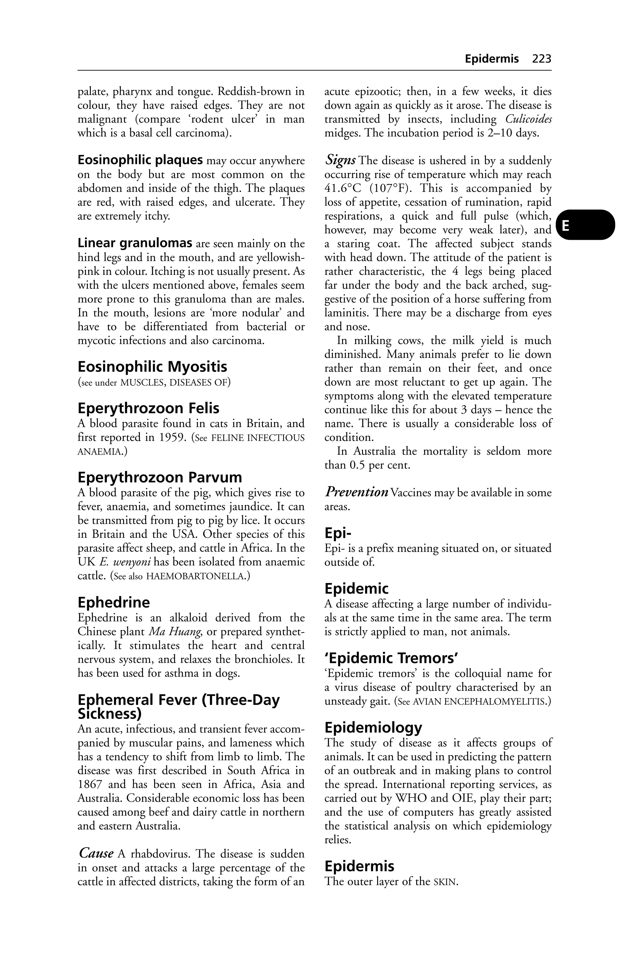 palate, pharynx and tongue. Reddish-brown in 
colour, they have raised edges. They are not 
malignant (compare ‘rodent ulcer’ in man 
which is a basal cell carcinoma). 
Eosinophilic plaques may occur anywhere 
on the body but are most common on the 
abdomen and inside of the thigh. The plaques 
are red, with raised edges, and ulcerate. They 
are extremely itchy. 
Linear granulomas are seen mainly on the 
hind legs and in the mouth, and are yellowish-pink 
in colour. Itching is not usually present. As 
with the ulcers mentioned above, females seem 
more prone to this granuloma than are males. 
In the mouth, lesions are ‘more nodular’ and 
have to be differentiated from bacterial or 
mycotic infections and also carcinoma. 
Eosinophilic Myositis 
(see under MUSCLES, DISEASES OF) 
Eperythrozoon Felis 
A blood parasite found in cats in Britain, and 
first reported in 1959. (See FELINE INFECTIOUS 
ANAEMIA.) 
Eperythrozoon Parvum 
A blood parasite of the pig, which gives rise to 
fever, anaemia, and sometimes jaundice. It can 
be transmitted from pig to pig by lice. It occurs 
in Britain and the USA. Other species of this 
parasite affect sheep, and cattle in Africa. In the 
UK E. wenyoni has been isolated from anaemic 
cattle. (See also HAEMOBARTONELLA.) 
Ephedrine 
Ephedrine is an alkaloid derived from the 
Chinese plant Ma Huang, or prepared synthet-ically. 
It stimulates the heart and central 
nervous system, and relaxes the bronchioles. It 
has been used for asthma in dogs. 
Ephemeral Fever (Three-Day 
Sickness) 
An acute, infectious, and transient fever accom-panied 
by muscular pains, and lameness which 
has a tendency to shift from limb to limb. The 
disease was first described in South Africa in 
1867 and has been seen in Africa, Asia and 
Australia. Considerable economic loss has been 
caused among beef and dairy cattle in northern 
and eastern Australia. 
Cause A rhabdovirus. The disease is sudden 
in onset and attacks a large percentage of the 
cattle in affected districts, taking the form of an 
Epidermis 223 
acute epizootic; then, in a few weeks, it dies 
down again as quickly as it arose. The disease is 
transmitted by insects, including Culicoides 
midges. The incubation period is 2–10 days. 
Signs The disease is ushered in by a suddenly 
occurring rise of temperature which may reach 
41.6°C (107°F). This is accompanied by 
loss of appetite, cessation of rumination, rapid 
respirations, a quick and full pulse (which, 
however, may become very weak later), and 
a staring coat. The affected subject stands 
with head down. The attitude of the patient is 
rather characteristic, the 4 legs being placed 
far under the body and the back arched, sug-gestive 
of the position of a horse suffering from 
laminitis. There may be a discharge from eyes 
and nose. 
In milking cows, the milk yield is much 
diminished. Many animals prefer to lie down 
rather than remain on their feet, and once 
down are most reluctant to get up again. The 
symptoms along with the elevated temperature 
continue like this for about 3 days – hence the 
name. There is usually a considerable loss of 
condition. 
In Australia the mortality is seldom more 
than 0.5 per cent. 
Prevention Vaccines may be available in some 
areas. 
Epi- 
Epi- is a prefix meaning situated on, or situated 
outside of. 
Epidemic 
A disease affecting a large number of individu-als 
at the same time in the same area. The term 
is strictly applied to man, not animals. 
‘Epidemic Tremors’ 
‘Epidemic tremors’ is the colloquial name for 
a virus disease of poultry characterised by an 
unsteady gait. (See AVIAN ENCEPHALOMYELITIS.) 
Epidemiology 
The study of disease as it affects groups of 
animals. It can be used in predicting the pattern 
of an outbreak and in making plans to control 
the spread. International reporting services, as 
carried out by WHO and OIE, play their part; 
and the use of computers has greatly assisted 
the statistical analysis on which epidemiology 
relies. 
Epidermis 
The outer layer of the SKIN. 
E 
 