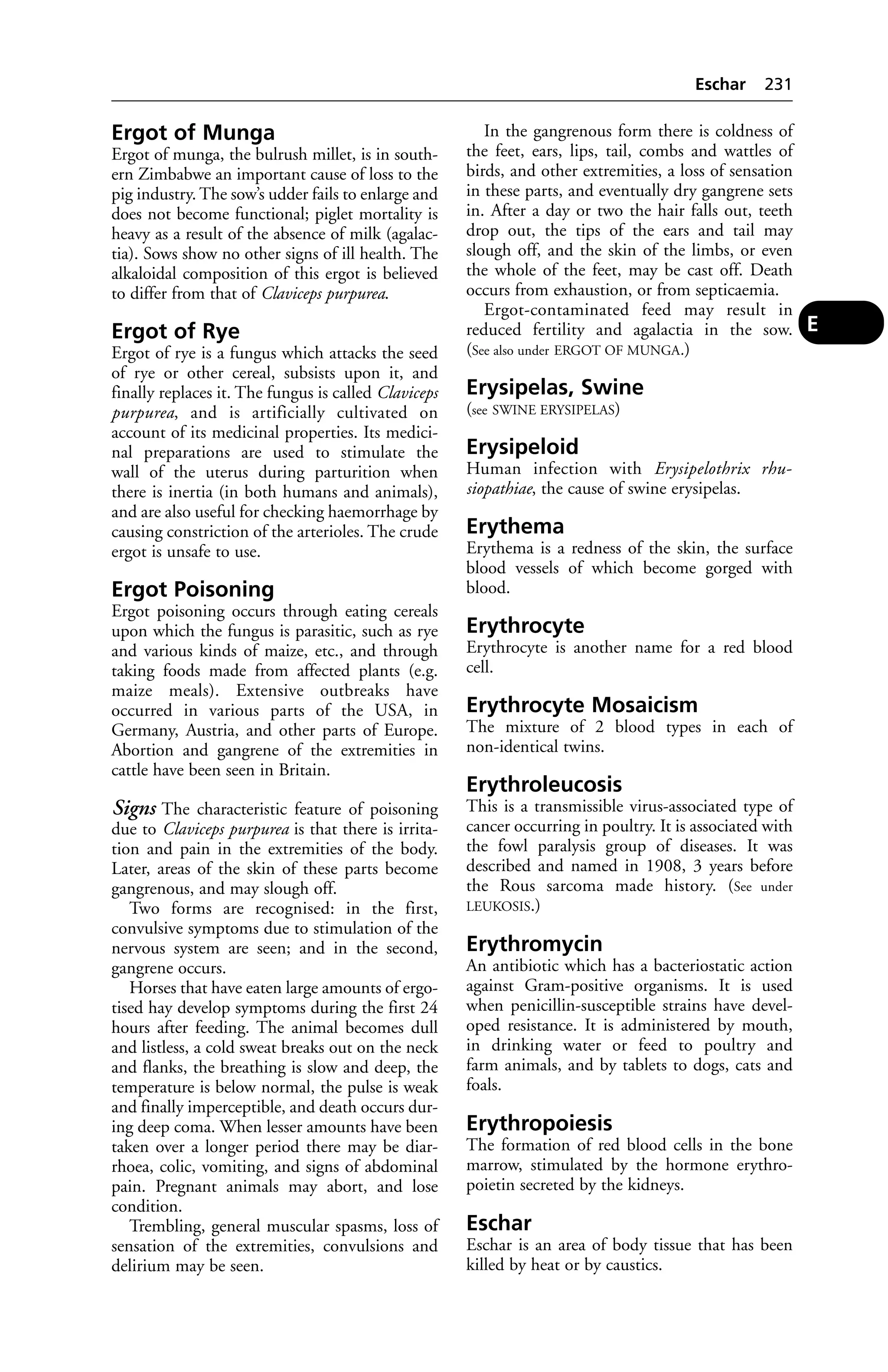 Ergot of Munga 
Ergot of munga, the bulrush millet, is in south-ern 
Zimbabwe an important cause of loss to the 
pig industry. The sow’s udder fails to enlarge and 
does not become functional; piglet mortality is 
heavy as a result of the absence of milk (agalac-tia). 
Sows show no other signs of ill health. The 
alkaloidal composition of this ergot is believed 
to differ from that of Claviceps purpurea. 
Ergot of Rye 
Ergot of rye is a fungus which attacks the seed 
of rye or other cereal, subsists upon it, and 
finally replaces it. The fungus is called Claviceps 
purpurea, and is artificially cultivated on 
account of its medicinal properties. Its medici-nal 
preparations are used to stimulate the 
wall of the uterus during parturition when 
there is inertia (in both humans and animals), 
and are also useful for checking haemorrhage by 
causing constriction of the arterioles. The crude 
ergot is unsafe to use. 
Ergot Poisoning 
Ergot poisoning occurs through eating cereals 
upon which the fungus is parasitic, such as rye 
and various kinds of maize, etc., and through 
taking foods made from affected plants (e.g. 
maize meals). Extensive outbreaks have 
occurred in various parts of the USA, in 
Germany, Austria, and other parts of Europe. 
Abortion and gangrene of the extremities in 
cattle have been seen in Britain. 
Signs The characteristic feature of poisoning 
due to Claviceps purpurea is that there is irrita-tion 
and pain in the extremities of the body. 
Later, areas of the skin of these parts become 
gangrenous, and may slough off. 
Two forms are recognised: in the first, 
convulsive symptoms due to stimulation of the 
nervous system are seen; and in the second, 
gangrene occurs. 
Horses that have eaten large amounts of ergo-tised 
hay develop symptoms during the first 24 
hours after feeding. The animal becomes dull 
and listless, a cold sweat breaks out on the neck 
and flanks, the breathing is slow and deep, the 
temperature is below normal, the pulse is weak 
and finally imperceptible, and death occurs dur-ing 
deep coma. When lesser amounts have been 
taken over a longer period there may be diar-rhoea, 
colic, vomiting, and signs of abdominal 
pain. Pregnant animals may abort, and lose 
condition. 
Trembling, general muscular spasms, loss of 
sensation of the extremities, convulsions and 
delirium may be seen. 
Eschar 231 
In the gangrenous form there is coldness of 
the feet, ears, lips, tail, combs and wattles of 
birds, and other extremities, a loss of sensation 
in these parts, and eventually dry gangrene sets 
in. After a day or two the hair falls out, teeth 
drop out, the tips of the ears and tail may 
slough off, and the skin of the limbs, or even 
the whole of the feet, may be cast off. Death 
occurs from exhaustion, or from septicaemia. 
Ergot-contaminated feed may result in 
reduced fertility and agalactia in the sow. 
(See also under ERGOT OF MUNGA.) 
Erysipelas, Swine 
(see SWINE ERYSIPELAS) 
Erysipeloid 
Human infection with Erysipelothrix rhu-siopathiae, 
the cause of swine erysipelas. 
Erythema 
Erythema is a redness of the skin, the surface 
blood vessels of which become gorged with 
blood. 
Erythrocyte 
Erythrocyte is another name for a red blood 
cell. 
Erythrocyte Mosaicism 
The mixture of 2 blood types in each of 
non-identical twins. 
Erythroleucosis 
This is a transmissible virus-associated type of 
cancer occurring in poultry. It is associated with 
the fowl paralysis group of diseases. It was 
described and named in 1908, 3 years before 
the Rous sarcoma made history. (See under 
LEUKOSIS.) 
Erythromycin 
An antibiotic which has a bacteriostatic action 
against Gram-positive organisms. It is used 
when penicillin-susceptible strains have devel-oped 
resistance. It is administered by mouth, 
in drinking water or feed to poultry and 
farm animals, and by tablets to dogs, cats and 
foals. 
Erythropoiesis 
The formation of red blood cells in the bone 
marrow, stimulated by the hormone erythro-poietin 
secreted by the kidneys. 
Eschar 
Eschar is an area of body tissue that has been 
killed by heat or by caustics. 
E 
 