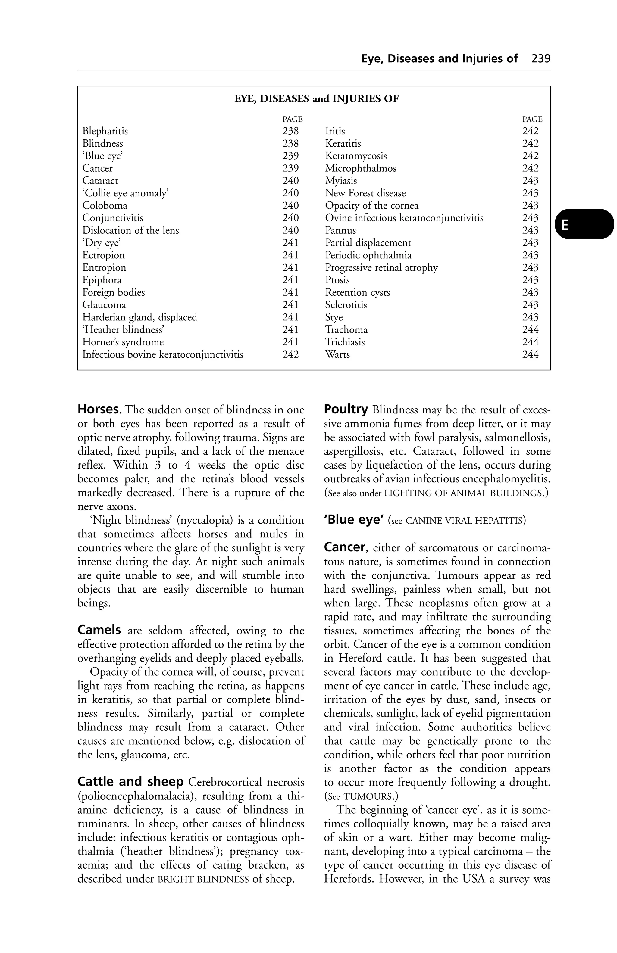 Eye, Diseases and Injuries of 239 
EYE, DISEASES and INJURIES OF 
Horses. The sudden onset of blindness in one 
or both eyes has been reported as a result of 
optic nerve atrophy, following trauma. Signs are 
dilated, fixed pupils, and a lack of the menace 
reflex. Within 3 to 4 weeks the optic disc 
becomes paler, and the retina’s blood vessels 
markedly decreased. There is a rupture of the 
nerve axons. 
‘Night blindness’ (nyctalopia) is a condition 
that sometimes affects horses and mules in 
countries where the glare of the sunlight is very 
intense during the day. At night such animals 
are quite unable to see, and will stumble into 
objects that are easily discernible to human 
beings. 
Camels are seldom affected, owing to the 
effective protection afforded to the retina by the 
overhanging eyelids and deeply placed eyeballs. 
Opacity of the cornea will, of course, prevent 
light rays from reaching the retina, as happens 
in keratitis, so that partial or complete blind-ness 
results. Similarly, partial or complete 
blindness may result from a cataract. Other 
causes are mentioned below, e.g. dislocation of 
the lens, glaucoma, etc. 
Cattle and sheep Cerebrocortical necrosis 
(polioencephalomalacia), resulting from a thi-amine 
deficiency, is a cause of blindness in 
ruminants. In sheep, other causes of blindness 
include: infectious keratitis or contagious oph-thalmia 
(‘heather blindness’); pregnancy tox-aemia; 
and the effects of eating bracken, as 
described under BRIGHT BLINDNESS of sheep. 
Poultry Blindness may be the result of exces-sive 
ammonia fumes from deep litter, or it may 
be associated with fowl paralysis, salmonellosis, 
aspergillosis, etc. Cataract, followed in some 
cases by liquefaction of the lens, occurs during 
outbreaks of avian infectious encephalomyelitis. 
(See also under LIGHTING OF ANIMAL BUILDINGS.) 
‘Blue eye’ (see CANINE VIRAL HEPATITIS) 
Cancer, either of sarcomatous or carcinoma-tous 
nature, is sometimes found in connection 
with the conjunctiva. Tumours appear as red 
hard swellings, painless when small, but not 
when large. These neoplasms often grow at a 
rapid rate, and may infiltrate the surrounding 
tissues, sometimes affecting the bones of the 
orbit. Cancer of the eye is a common condition 
in Hereford cattle. It has been suggested that 
several factors may contribute to the develop-ment 
of eye cancer in cattle. These include age, 
irritation of the eyes by dust, sand, insects or 
chemicals, sunlight, lack of eyelid pigmentation 
and viral infection. Some authorities believe 
that cattle may be genetically prone to the 
condition, while others feel that poor nutrition 
is another factor as the condition appears 
to occur more frequently following a drought. 
(See TUMOURS.) 
The beginning of ‘cancer eye’, as it is some-times 
colloquially known, may be a raised area 
of skin or a wart. Either may become malig-nant, 
developing into a typical carcinoma – the 
type of cancer occurring in this eye disease of 
Herefords. However, in the USA a survey was 
PAGE 
Blepharitis 238 
Blindness 238 
‘Blue eye’ 239 
Cancer 239 
Cataract 240 
‘Collie eye anomaly’ 240 
Coloboma 240 
Conjunctivitis 240 
Dislocation of the lens 240 
‘Dry eye’ 241 
Ectropion 241 
Entropion 241 
Epiphora 241 
Foreign bodies 241 
Glaucoma 241 
Harderian gland, displaced 241 
‘Heather blindness’ 241 
Horner’s syndrome 241 
Infectious bovine keratoconjunctivitis 242 
PAGE 
Iritis 242 
Keratitis 242 
Keratomycosis 242 
Microphthalmos 242 
Myiasis 243 
New Forest disease 243 
Opacity of the cornea 243 
Ovine infectious keratoconjunctivitis 243 
Pannus 243 
Partial displacement 243 
Periodic ophthalmia 243 
Progressive retinal atrophy 243 
Ptosis 243 
Retention cysts 243 
Sclerotitis 243 
Stye 243 
Trachoma 244 
Trichiasis 244 
Warts 244 
E 
 