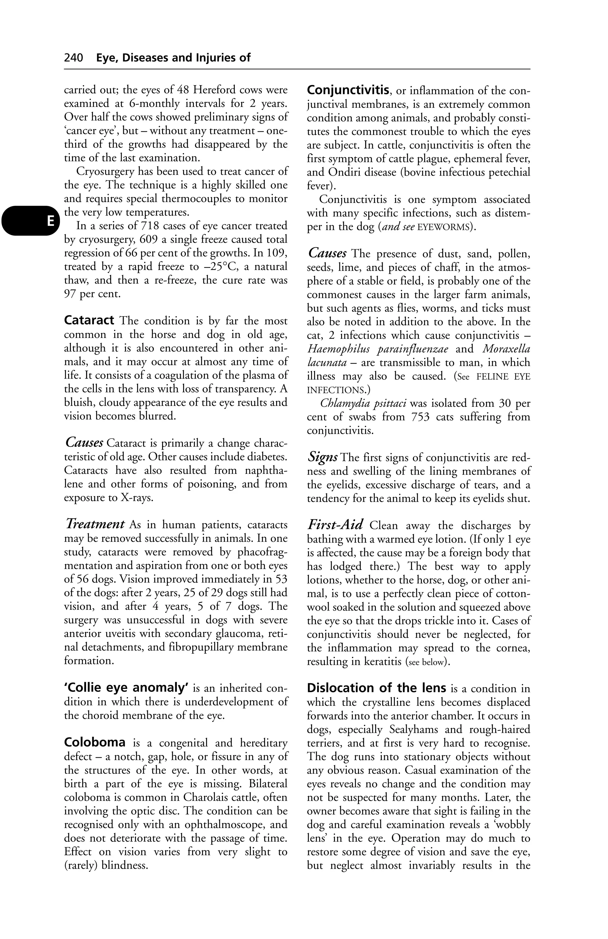 carried out; the eyes of 48 Hereford cows were 
examined at 6-monthly intervals for 2 years. 
Over half the cows showed preliminary signs of 
‘cancer eye’, but – without any treatment – one-third 
of the growths had disappeared by the 
time of the last examination. 
Cryosurgery has been used to treat cancer of 
the eye. The technique is a highly skilled one 
and requires special thermocouples to monitor 
the very low temperatures. 
In a series of 718 cases of eye cancer treated 
by cryosurgery, 609 a single freeze caused total 
regression of 66 per cent of the growths. In 109, 
treated by a rapid freeze to –25°C, a natural 
thaw, and then a re-freeze, the cure rate was 
97 per cent. 
Cataract The condition is by far the most 
common in the horse and dog in old age, 
although it is also encountered in other ani-mals, 
and it may occur at almost any time of 
life. It consists of a coagulation of the plasma of 
the cells in the lens with loss of transparency. A 
bluish, cloudy appearance of the eye results and 
vision becomes blurred. 
Causes Cataract is primarily a change charac-teristic 
of old age. Other causes include diabetes. 
Cataracts have also resulted from naphtha-lene 
and other forms of poisoning, and from 
exposure to X-rays. 
Treatment As in human patients, cataracts 
may be removed successfully in animals. In one 
study, cataracts were removed by phacofrag-mentation 
and aspiration from one or both eyes 
of 56 dogs. Vision improved immediately in 53 
of the dogs: after 2 years, 25 of 29 dogs still had 
vision, and after 4 years, 5 of 7 dogs. The 
surgery was unsuccessful in dogs with severe 
anterior uveitis with secondary glaucoma, reti-nal 
detachments, and fibropupillary membrane 
formation. 
‘Collie eye anomaly’ is an inherited con-dition 
in which there is underdevelopment of 
the choroid membrane of the eye. 
Coloboma is a congenital and hereditary 
defect – a notch, gap, hole, or fissure in any of 
the structures of the eye. In other words, at 
birth a part of the eye is missing. Bilateral 
coloboma is common in Charolais cattle, often 
involving the optic disc. The condition can be 
recognised only with an ophthalmoscope, and 
does not deteriorate with the passage of time. 
Effect on vision varies from very slight to 
(rarely) blindness. 
Conjunctivitis, or inflammation of the con-junctival 
membranes, is an extremely common 
condition among animals, and probably consti-tutes 
the commonest trouble to which the eyes 
are subject. In cattle, conjunctivitis is often the 
first symptom of cattle plague, ephemeral fever, 
and Ondiri disease (bovine infectious petechial 
fever). 
Conjunctivitis is one symptom associated 
with many specific infections, such as distem-per 
in the dog (and see EYEWORMS). 
Causes The presence of dust, sand, pollen, 
seeds, lime, and pieces of chaff, in the atmos-phere 
of a stable or field, is probably one of the 
commonest causes in the larger farm animals, 
but such agents as flies, worms, and ticks must 
also be noted in addition to the above. In the 
cat, 2 infections which cause conjunctivitis – 
Haemophilus parainfluenzae and Moraxella 
lacunata – are transmissible to man, in which 
illness may also be caused. (See FELINE EYE 
INFECTIONS.) 
Chlamydia psittaci was isolated from 30 per 
cent of swabs from 753 cats suffering from 
conjunctivitis. 
Signs The first signs of conjunctivitis are red-ness 
and swelling of the lining membranes of 
the eyelids, excessive discharge of tears, and a 
tendency for the animal to keep its eyelids shut. 
First-Aid Clean away the discharges by 
bathing with a warmed eye lotion. (If only 1 eye 
is affected, the cause may be a foreign body that 
has lodged there.) The best way to apply 
lotions, whether to the horse, dog, or other ani-mal, 
is to use a perfectly clean piece of cotton-wool 
soaked in the solution and squeezed above 
the eye so that the drops trickle into it. Cases of 
conjunctivitis should never be neglected, for 
the inflammation may spread to the cornea, 
resulting in keratitis (see below). 
Dislocation of the lens is a condition in 
which the crystalline lens becomes displaced 
forwards into the anterior chamber. It occurs in 
dogs, especially Sealyhams and rough-haired 
terriers, and at first is very hard to recognise. 
The dog runs into stationary objects without 
any obvious reason. Casual examination of the 
eyes reveals no change and the condition may 
not be suspected for many months. Later, the 
owner becomes aware that sight is failing in the 
dog and careful examination reveals a ‘wobbly 
lens’ in the eye. Operation may do much to 
restore some degree of vision and save the eye, 
but neglect almost invariably results in the 
240 Eye, Diseases and Injuries of 
E 
 