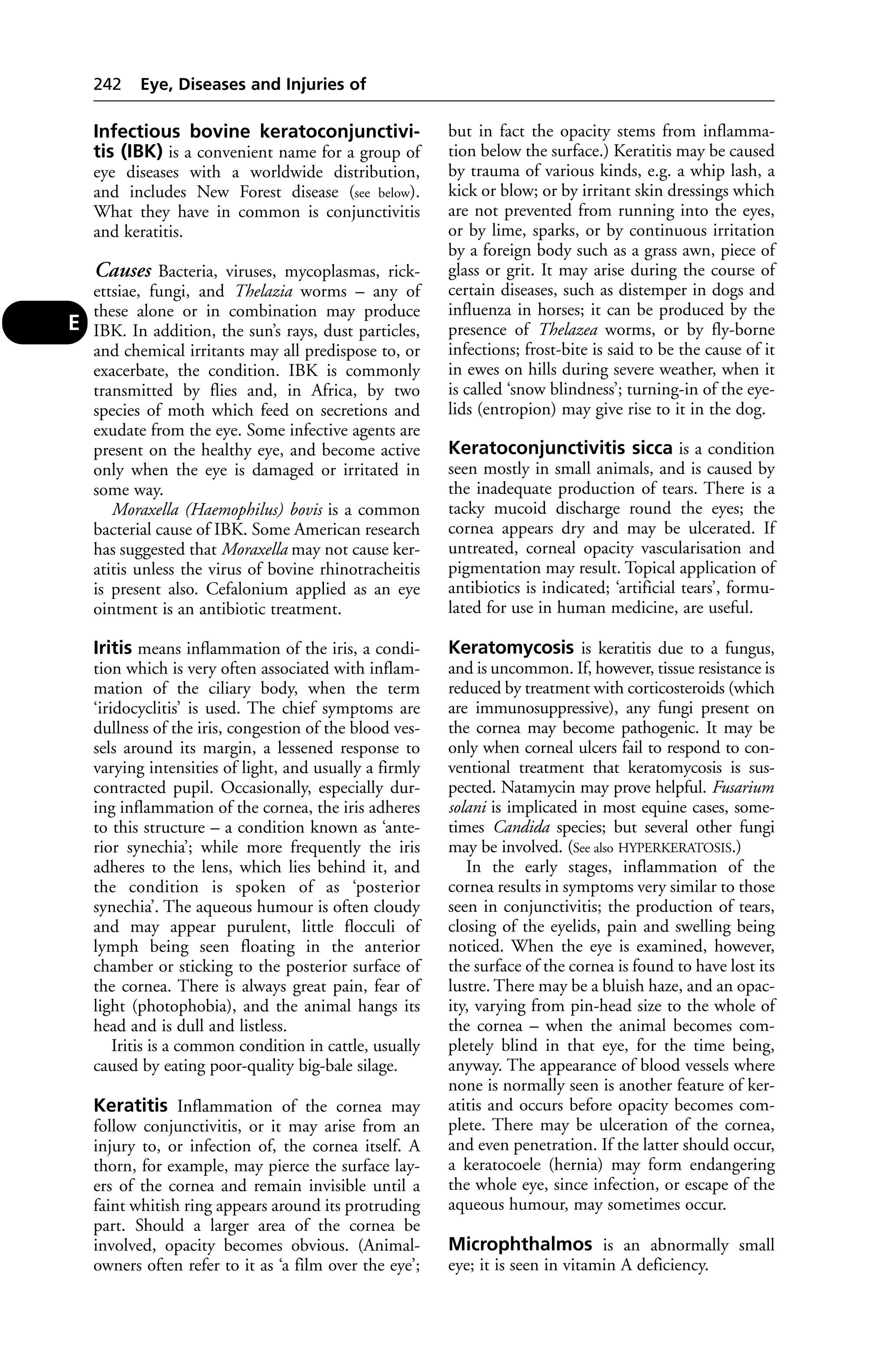 Infectious bovine keratoconjunctivi-tis 
(IBK) is a convenient name for a group of 
eye diseases with a worldwide distribution, 
and includes New Forest disease (see below). 
What they have in common is conjunctivitis 
and keratitis. 
Causes Bacteria, viruses, mycoplasmas, rick-ettsiae, 
fungi, and Thelazia worms – any of 
these alone or in combination may produce 
IBK. In addition, the sun’s rays, dust particles, 
and chemical irritants may all predispose to, or 
exacerbate, the condition. IBK is commonly 
transmitted by flies and, in Africa, by two 
species of moth which feed on secretions and 
exudate from the eye. Some infective agents are 
present on the healthy eye, and become active 
only when the eye is damaged or irritated in 
some way. 
Moraxella (Haemophilus) bovis is a common 
bacterial cause of IBK. Some American research 
has suggested that Moraxella may not cause ker-atitis 
unless the virus of bovine rhinotracheitis 
is present also. Cefalonium applied as an eye 
ointment is an antibiotic treatment. 
Iritis means inflammation of the iris, a condi-tion 
which is very often associated with inflam-mation 
of the ciliary body, when the term 
‘iridocyclitis’ is used. The chief symptoms are 
dullness of the iris, congestion of the blood ves-sels 
around its margin, a lessened response to 
varying intensities of light, and usually a firmly 
contracted pupil. Occasionally, especially dur-ing 
inflammation of the cornea, the iris adheres 
to this structure – a condition known as ‘ante-rior 
synechia’; while more frequently the iris 
adheres to the lens, which lies behind it, and 
the condition is spoken of as ‘posterior 
synechia’. The aqueous humour is often cloudy 
and may appear purulent, little flocculi of 
lymph being seen floating in the anterior 
chamber or sticking to the posterior surface of 
the cornea. There is always great pain, fear of 
light (photophobia), and the animal hangs its 
head and is dull and listless. 
Iritis is a common condition in cattle, usually 
caused by eating poor-quality big-bale silage. 
Keratitis Inflammation of the cornea may 
follow conjunctivitis, or it may arise from an 
injury to, or infection of, the cornea itself. A 
thorn, for example, may pierce the surface lay-ers 
of the cornea and remain invisible until a 
faint whitish ring appears around its protruding 
part. Should a larger area of the cornea be 
involved, opacity becomes obvious. (Animal-owners 
often refer to it as ‘a film over the eye’; 
but in fact the opacity stems from inflamma-tion 
below the surface.) Keratitis may be caused 
by trauma of various kinds, e.g. a whip lash, a 
kick or blow; or by irritant skin dressings which 
are not prevented from running into the eyes, 
or by lime, sparks, or by continuous irritation 
by a foreign body such as a grass awn, piece of 
glass or grit. It may arise during the course of 
certain diseases, such as distemper in dogs and 
influenza in horses; it can be produced by the 
presence of Thelazea worms, or by fly-borne 
infections; frost-bite is said to be the cause of it 
in ewes on hills during severe weather, when it 
is called ‘snow blindness’; turning-in of the eye-lids 
(entropion) may give rise to it in the dog. 
Keratoconjunctivitis sicca is a condition 
seen mostly in small animals, and is caused by 
the inadequate production of tears. There is a 
tacky mucoid discharge round the eyes; the 
cornea appears dry and may be ulcerated. If 
untreated, corneal opacity vascularisation and 
pigmentation may result. Topical application of 
antibiotics is indicated; ‘artificial tears’, formu-lated 
for use in human medicine, are useful. 
Keratomycosis is keratitis due to a fungus, 
and is uncommon. If, however, tissue resistance is 
reduced by treatment with corticosteroids (which 
are immunosuppressive), any fungi present on 
the cornea may become pathogenic. It may be 
only when corneal ulcers fail to respond to con-ventional 
treatment that keratomycosis is sus-pected. 
Natamycin may prove helpful. Fusarium 
solani is implicated in most equine cases, some-times 
Candida species; but several other fungi 
may be involved. (See also HYPERKERATOSIS.) 
In the early stages, inflammation of the 
cornea results in symptoms very similar to those 
seen in conjunctivitis; the production of tears, 
closing of the eyelids, pain and swelling being 
noticed. When the eye is examined, however, 
the surface of the cornea is found to have lost its 
lustre. There may be a bluish haze, and an opac-ity, 
varying from pin-head size to the whole of 
the cornea – when the animal becomes com-pletely 
blind in that eye, for the time being, 
anyway. The appearance of blood vessels where 
none is normally seen is another feature of ker-atitis 
and occurs before opacity becomes com-plete. 
There may be ulceration of the cornea, 
and even penetration. If the latter should occur, 
a keratocoele (hernia) may form endangering 
the whole eye, since infection, or escape of the 
aqueous humour, may sometimes occur. 
Microphthalmos is an abnormally small 
eye; it is seen in vitamin A deficiency. 
242 Eye, Diseases and Injuries of 
E 
 