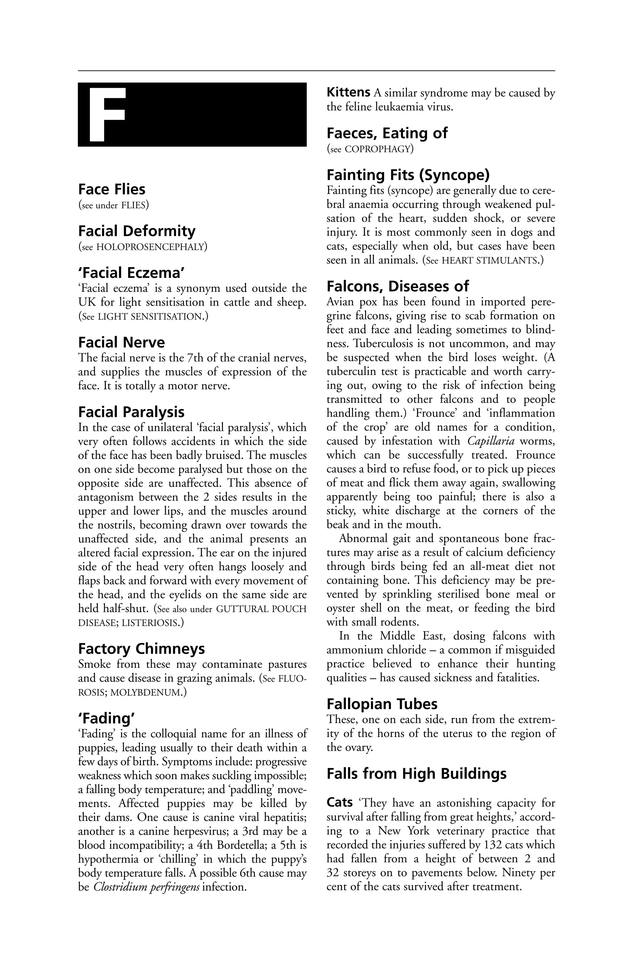 Face Flies 
(see under FLIES) 
Facial Deformity 
(see HOLOPROSENCEPHALY) 
‘Facial Eczema’ 
‘Facial eczema’ is a synonym used outside the 
UK for light sensitisation in cattle and sheep. 
(See LIGHT SENSITISATION.) 
Facial Nerve 
The facial nerve is the 7th of the cranial nerves, 
and supplies the muscles of expression of the 
face. It is totally a motor nerve. 
Facial Paralysis 
In the case of unilateral ‘facial paralysis’, which 
very often follows accidents in which the side 
of the face has been badly bruised. The muscles 
on one side become paralysed but those on the 
opposite side are unaffected. This absence of 
antagonism between the 2 sides results in the 
upper and lower lips, and the muscles around 
the nostrils, becoming drawn over towards the 
unaffected side, and the animal presents an 
altered facial expression. The ear on the injured 
side of the head very often hangs loosely and 
flaps back and forward with every movement of 
the head, and the eyelids on the same side are 
held half-shut. (See also under GUTTURAL POUCH 
DISEASE; LISTERIOSIS.) 
Factory Chimneys 
Smoke from these may contaminate pastures 
and cause disease in grazing animals. (See FLUO-ROSIS; 
MOLYBDENUM.) 
‘Fading’ 
‘Fading’ is the colloquial name for an illness of 
puppies, leading usually to their death within a 
few days of birth. Symptoms include: progressive 
weakness which soon makes suckling impossible; 
a falling body temperature; and ‘paddling’ move-ments. 
Affected puppies may be killed by 
their dams. One cause is canine viral hepatitis; 
another is a canine herpesvirus; a 3rd may be a 
blood incompatibility; a 4th Bordetella; a 5th is 
hypothermia or ‘chilling’ in which the puppy’s 
body temperature falls. A possible 6th cause may 
be Clostridium perfringens infection. 
Kittens A similar syndrome may be caused by 
the feline leukaemia virus. 
Faeces, Eating of 
(see COPROPHAGY) 
Fainting Fits (Syncope) 
Fainting fits (syncope) are generally due to cere-bral 
anaemia occurring through weakened pul-sation 
of the heart, sudden shock, or severe 
injury. It is most commonly seen in dogs and 
cats, especially when old, but cases have been 
seen in all animals. (See HEART STIMULANTS.) 
Falcons, Diseases of 
Avian pox has been found in imported pere-grine 
falcons, giving rise to scab formation on 
feet and face and leading sometimes to blind-ness. 
Tuberculosis is not uncommon, and may 
be suspected when the bird loses weight. (A 
tuberculin test is practicable and worth carry-ing 
out, owing to the risk of infection being 
transmitted to other falcons and to people 
handling them.) ‘Frounce’ and ‘inflammation 
of the crop’ are old names for a condition, 
caused by infestation with Capillaria worms, 
which can be successfully treated. Frounce 
causes a bird to refuse food, or to pick up pieces 
of meat and flick them away again, swallowing 
apparently being too painful; there is also a 
sticky, white discharge at the corners of the 
beak and in the mouth. 
Abnormal gait and spontaneous bone frac-tures 
may arise as a result of calcium deficiency 
through birds being fed an all-meat diet not 
containing bone. This deficiency may be pre-vented 
by sprinkling sterilised bone meal or 
oyster shell on the meat, or feeding the bird 
with small rodents. 
In the Middle East, dosing falcons with 
ammonium chloride – a common if misguided 
practice believed to enhance their hunting 
qualities – has caused sickness and fatalities. 
Fallopian Tubes 
These, one on each side, run from the extrem-ity 
of the horns of the uterus to the region of 
the ovary. 
Falls from High Buildings 
Cats ‘They have an astonishing capacity for 
survival after falling from great heights,’ accord-ing 
to a New York veterinary practice that 
recorded the injuries suffered by 132 cats which 
had fallen from a height of between 2 and 
32 storeys on to pavements below. Ninety per 
cent of the cats survived after treatment. 
F 
 