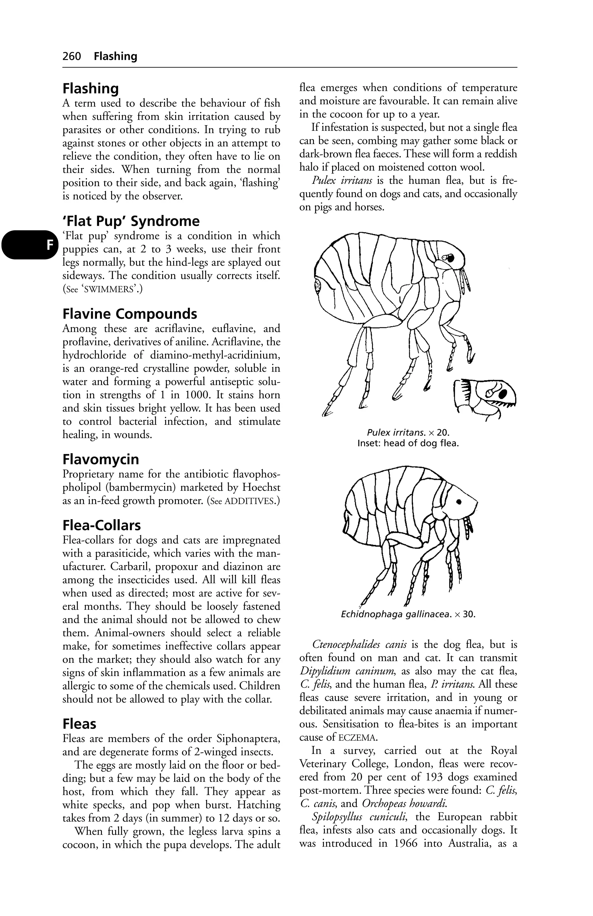 Veterinary dictionary _21st_edition