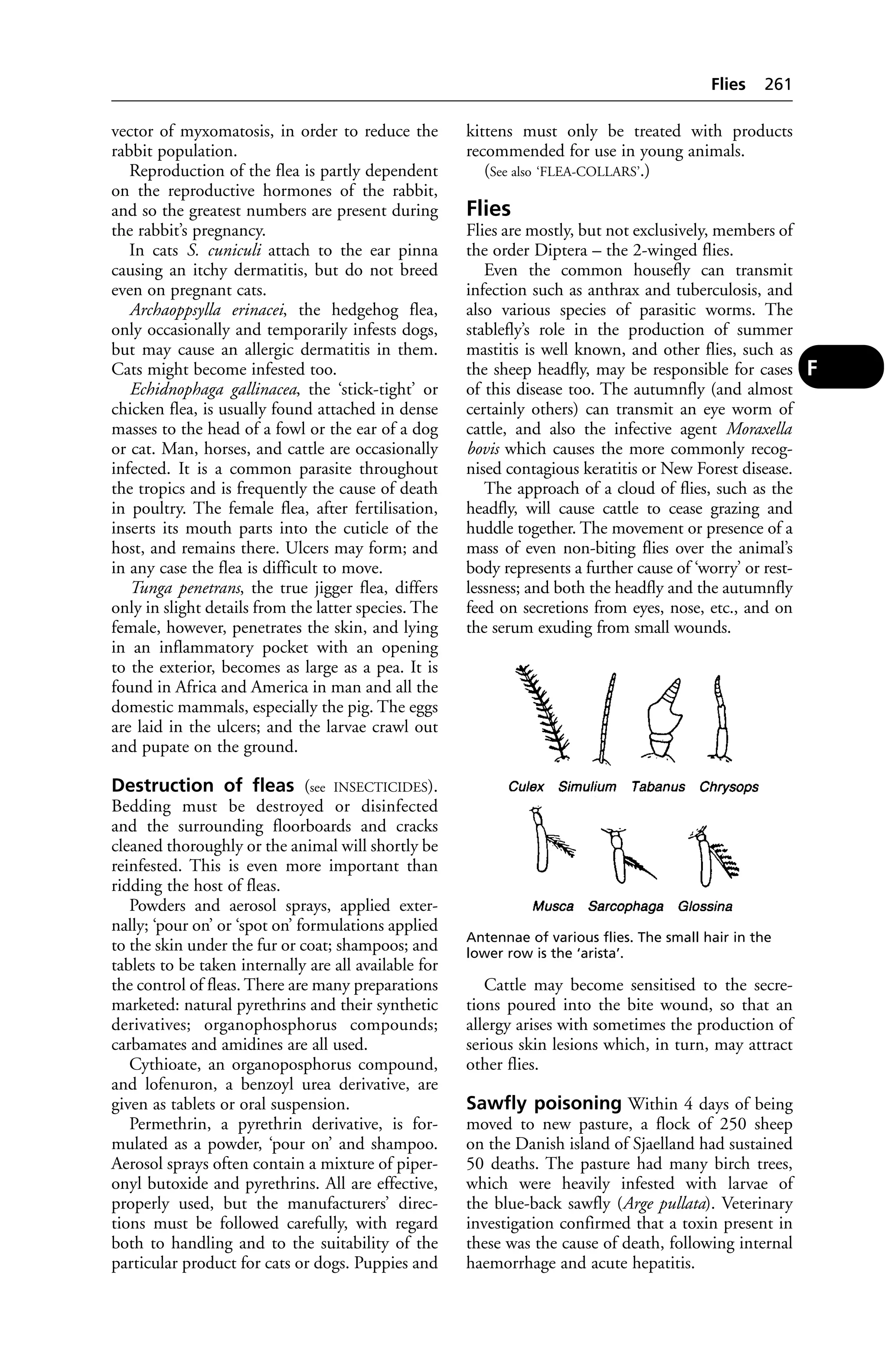 Veterinary dictionary _21st_edition