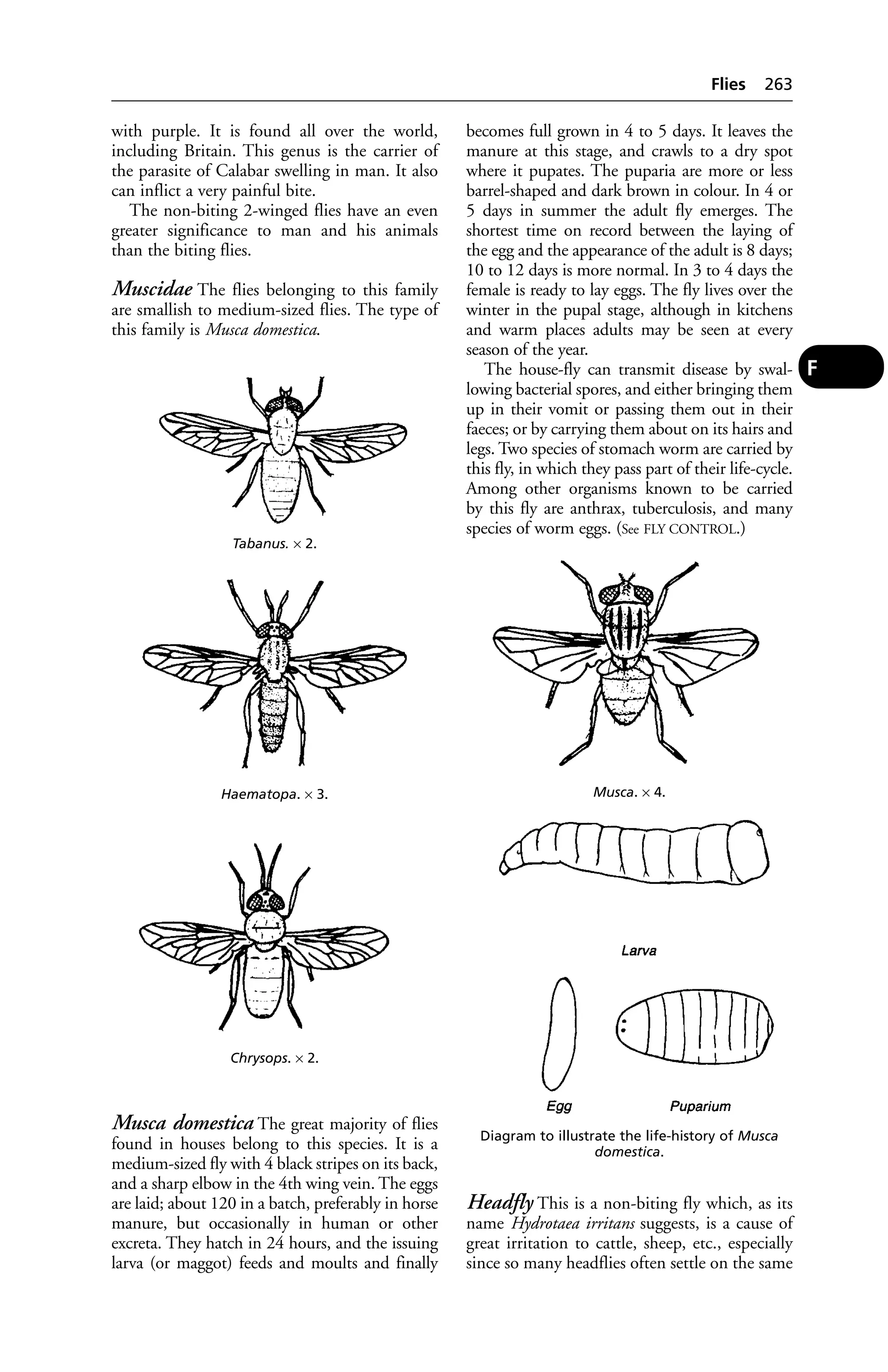 Veterinary dictionary _21st_edition