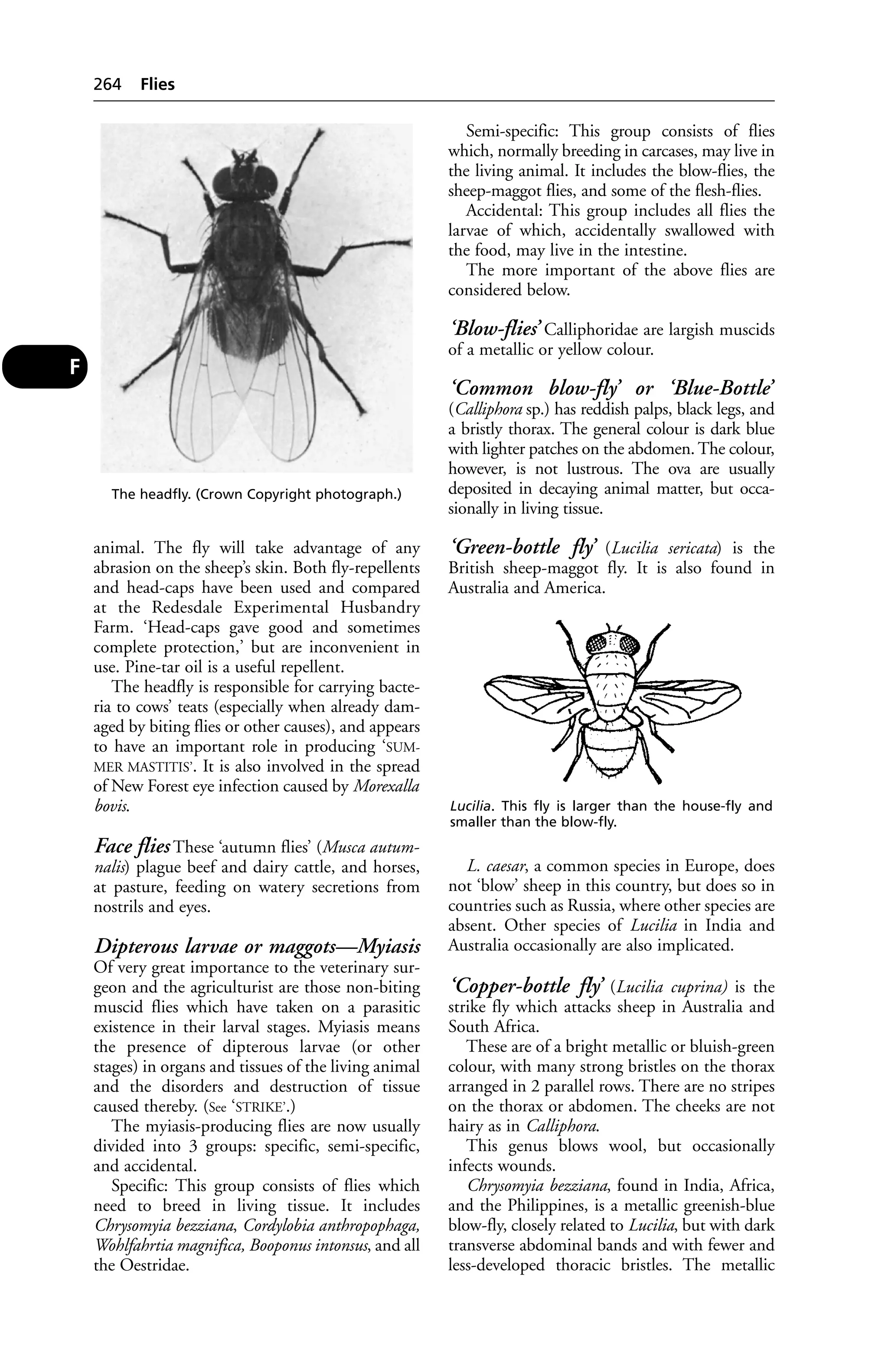 Veterinary dictionary _21st_edition