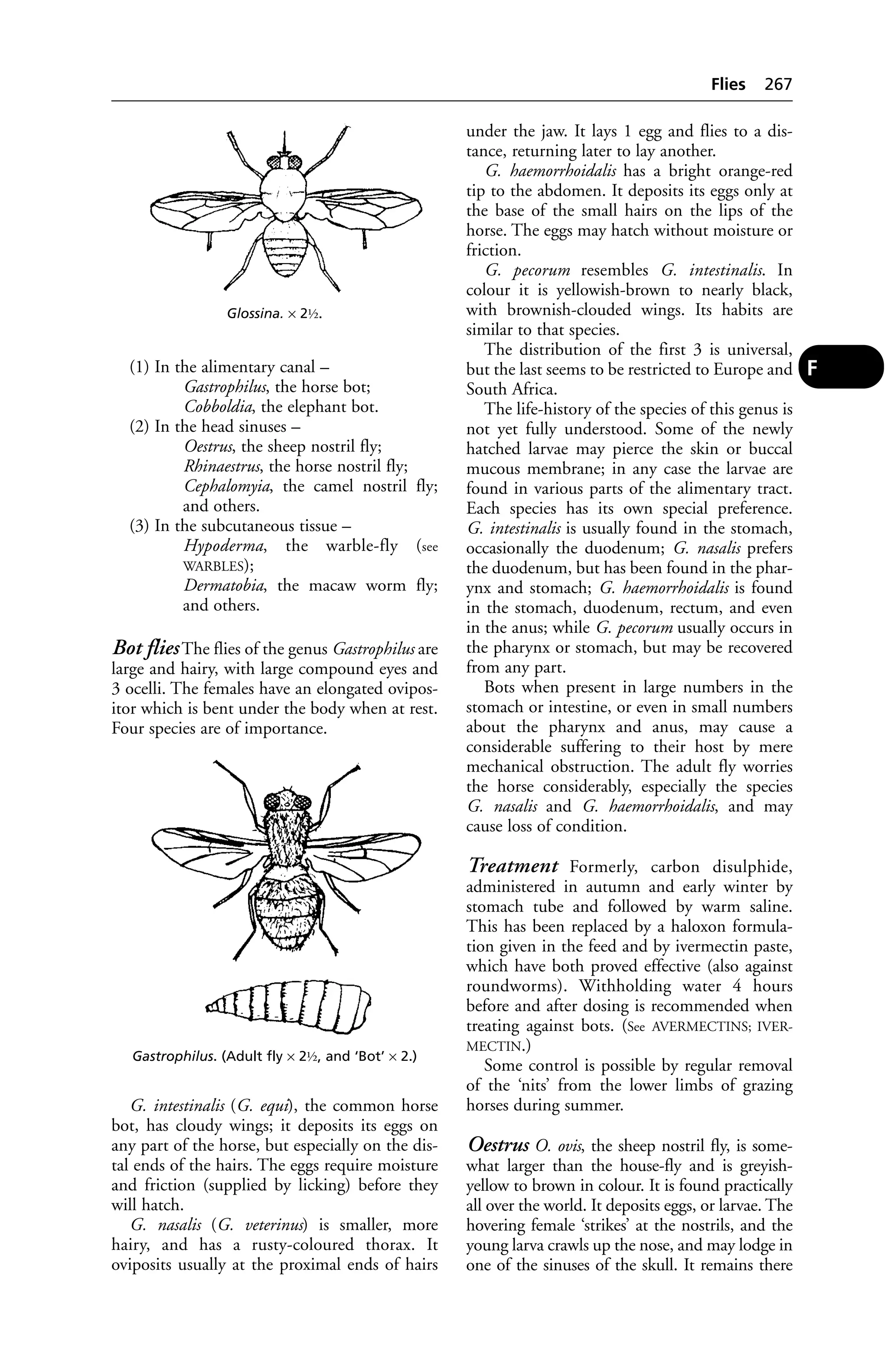 Veterinary dictionary _21st_edition