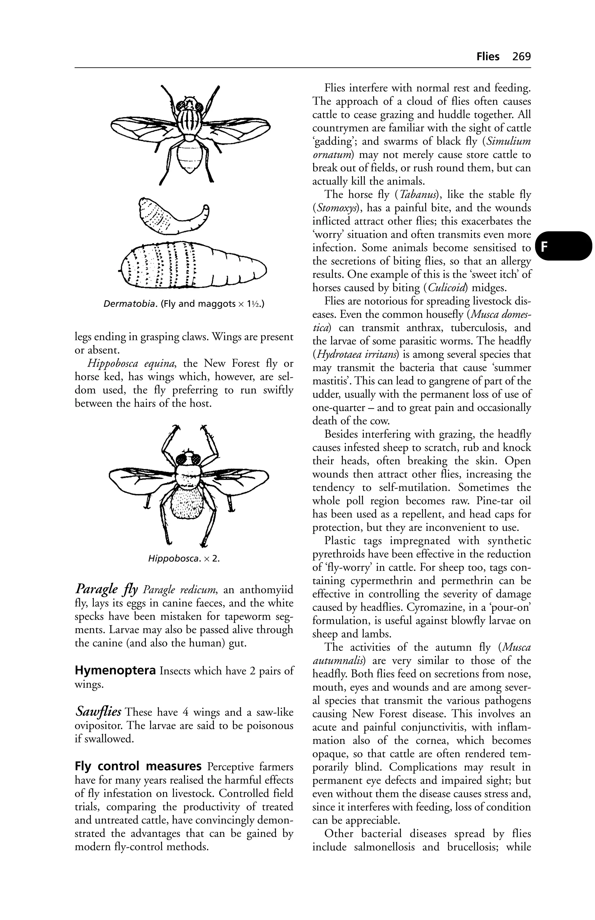 Veterinary dictionary _21st_edition