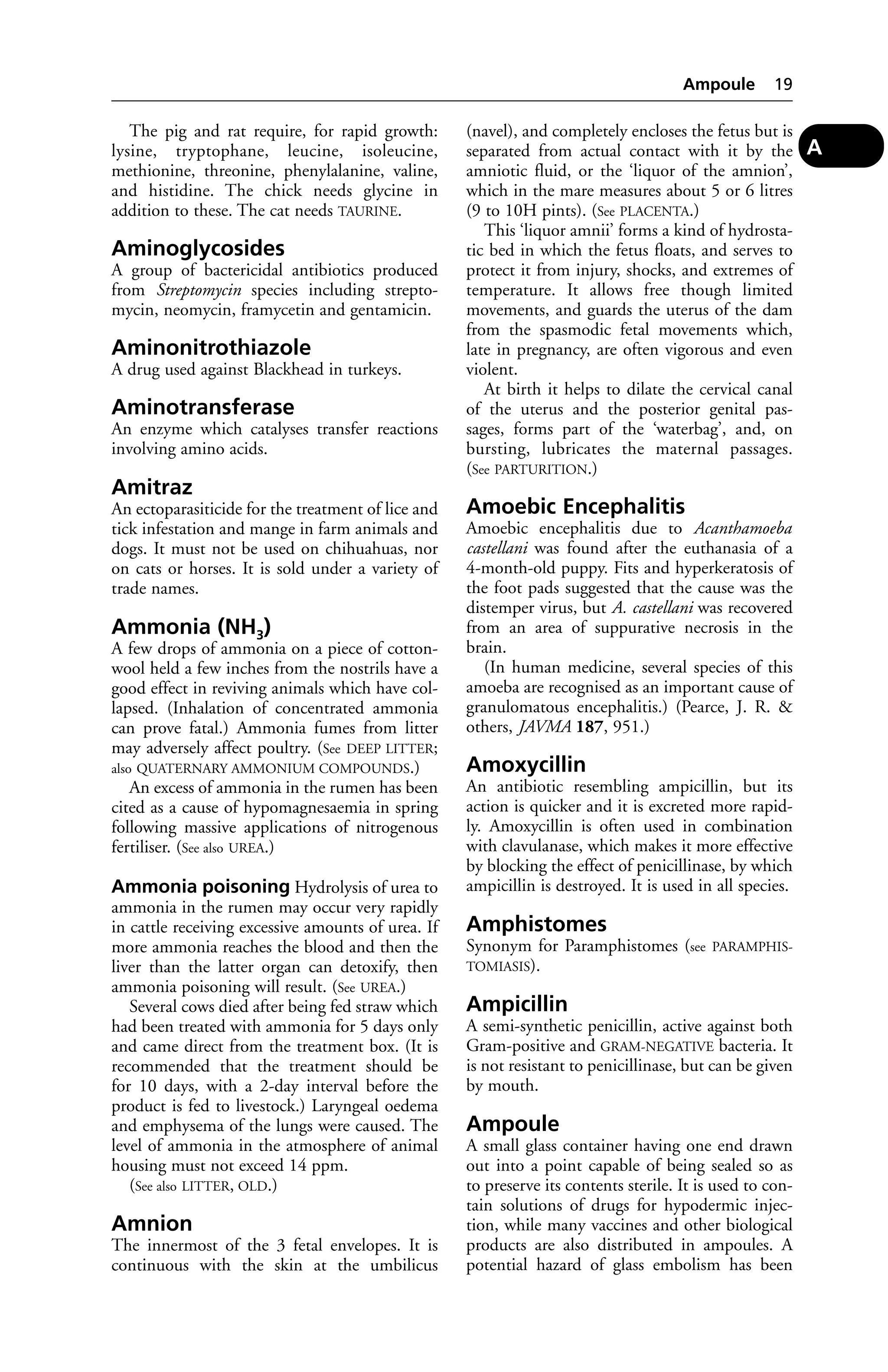 The pig and rat require, for rapid growth: 
lysine, tryptophane, leucine, isoleucine, 
methionine, threonine, phenylalanine, valine, 
and histidine. The chick needs glycine in 
addition to these. The cat needs TAURINE. 
Aminoglycosides 
A group of bactericidal antibiotics produced 
from Streptomycin species including strepto-mycin, 
neomycin, framycetin and gentamicin. 
Aminonitrothiazole 
A drug used against Blackhead in turkeys. 
Aminotransferase 
An enzyme which catalyses transfer reactions 
involving amino acids. 
Amitraz 
An ectoparasiticide for the treatment of lice and 
tick infestation and mange in farm animals and 
dogs. It must not be used on chihuahuas, nor 
on cats or horses. It is sold under a variety of 
trade names. 
Ammonia (NH3) 
A few drops of ammonia on a piece of cotton-wool 
held a few inches from the nostrils have a 
good effect in reviving animals which have col-lapsed. 
(Inhalation of concentrated ammonia 
can prove fatal.) Ammonia fumes from litter 
may adversely affect poultry. (See DEEP LITTER; 
also QUATERNARY AMMONIUM COMPOUNDS.) 
An excess of ammonia in the rumen has been 
cited as a cause of hypomagnesaemia in spring 
following massive applications of nitrogenous 
fertiliser. (See also UREA.) 
Ammonia poisoning Hydrolysis of urea to 
ammonia in the rumen may occur very rapidly 
in cattle receiving excessive amounts of urea. If 
more ammonia reaches the blood and then the 
liver than the latter organ can detoxify, then 
ammonia poisoning will result. (See UREA.) 
Several cows died after being fed straw which 
had been treated with ammonia for 5 days only 
and came direct from the treatment box. (It is 
recommended that the treatment should be 
for 10 days, with a 2-day interval before the 
product is fed to livestock.) Laryngeal oedema 
and emphysema of the lungs were caused. The 
level of ammonia in the atmosphere of animal 
housing must not exceed 14 ppm. 
(See also LITTER, OLD.) 
Amnion 
The innermost of the 3 fetal envelopes. It is 
continuous with the skin at the umbilicus 
Ampoule 19 
(navel), and completely encloses the fetus but is 
separated from actual contact with it by the 
amniotic fluid, or the ‘liquor of the amnion’, 
which in the mare measures about 5 or 6 litres 
(9 to 10H pints). (See PLACENTA.) 
This ‘liquor amnii’ forms a kind of hydrosta-tic 
bed in which the fetus floats, and serves to 
protect it from injury, shocks, and extremes of 
temperature. It allows free though limited 
movements, and guards the uterus of the dam 
from the spasmodic fetal movements which, 
late in pregnancy, are often vigorous and even 
violent. 
At birth it helps to dilate the cervical canal 
of the uterus and the posterior genital pas-sages, 
forms part of the ‘waterbag’, and, on 
bursting, lubricates the maternal passages. 
(See PARTURITION.) 
Amoebic Encephalitis 
Amoebic encephalitis due to Acanthamoeba 
castellani was found after the euthanasia of a 
4-month-old puppy. Fits and hyperkeratosis of 
the foot pads suggested that the cause was the 
distemper virus, but A. castellani was recovered 
from an area of suppurative necrosis in the 
brain. 
(In human medicine, several species of this 
amoeba are recognised as an important cause of 
granulomatous encephalitis.) (Pearce, J. R. & 
others, JAVMA 187, 951.) 
Amoxycillin 
An antibiotic resembling ampicillin, but its 
action is quicker and it is excreted more rapid-ly. 
Amoxycillin is often used in combination 
with clavulanase, which makes it more effective 
by blocking the effect of penicillinase, by which 
ampicillin is destroyed. It is used in all species. 
Amphistomes 
Synonym for Paramphistomes (see PARAMPHIS-TOMIASIS). 
Ampicillin 
A semi-synthetic penicillin, active against both 
Gram-positive and GRAM-NEGATIVE bacteria. It 
is not resistant to penicillinase, but can be given 
by mouth. 
Ampoule 
A small glass container having one end drawn 
out into a point capable of being sealed so as 
to preserve its contents sterile. It is used to con-tain 
solutions of drugs for hypodermic injec-tion, 
while many vaccines and other biological 
products are also distributed in ampoules. A 
potential hazard of glass embolism has been 
A 
 