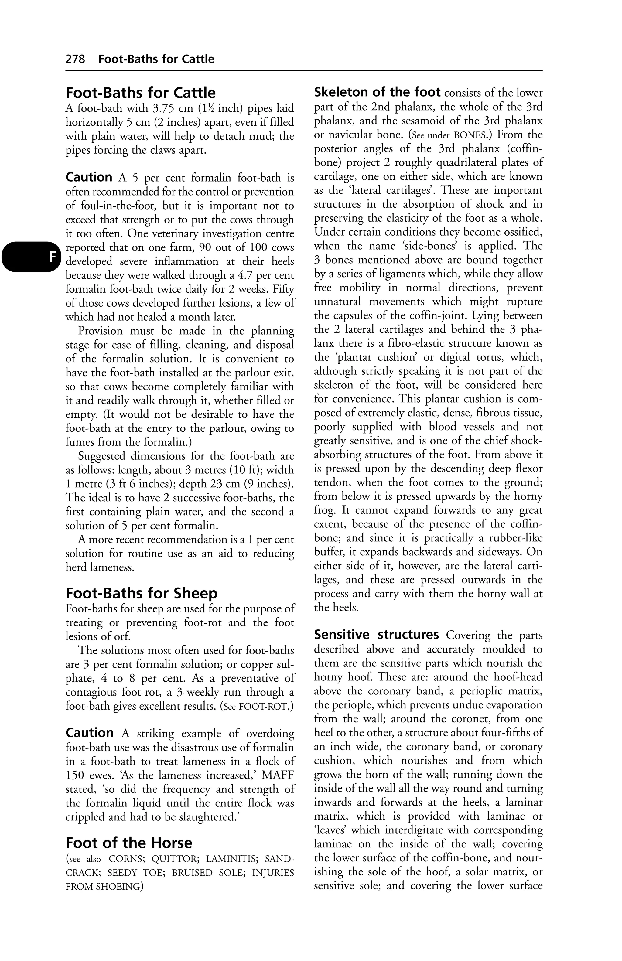 Veterinary dictionary _21st_edition