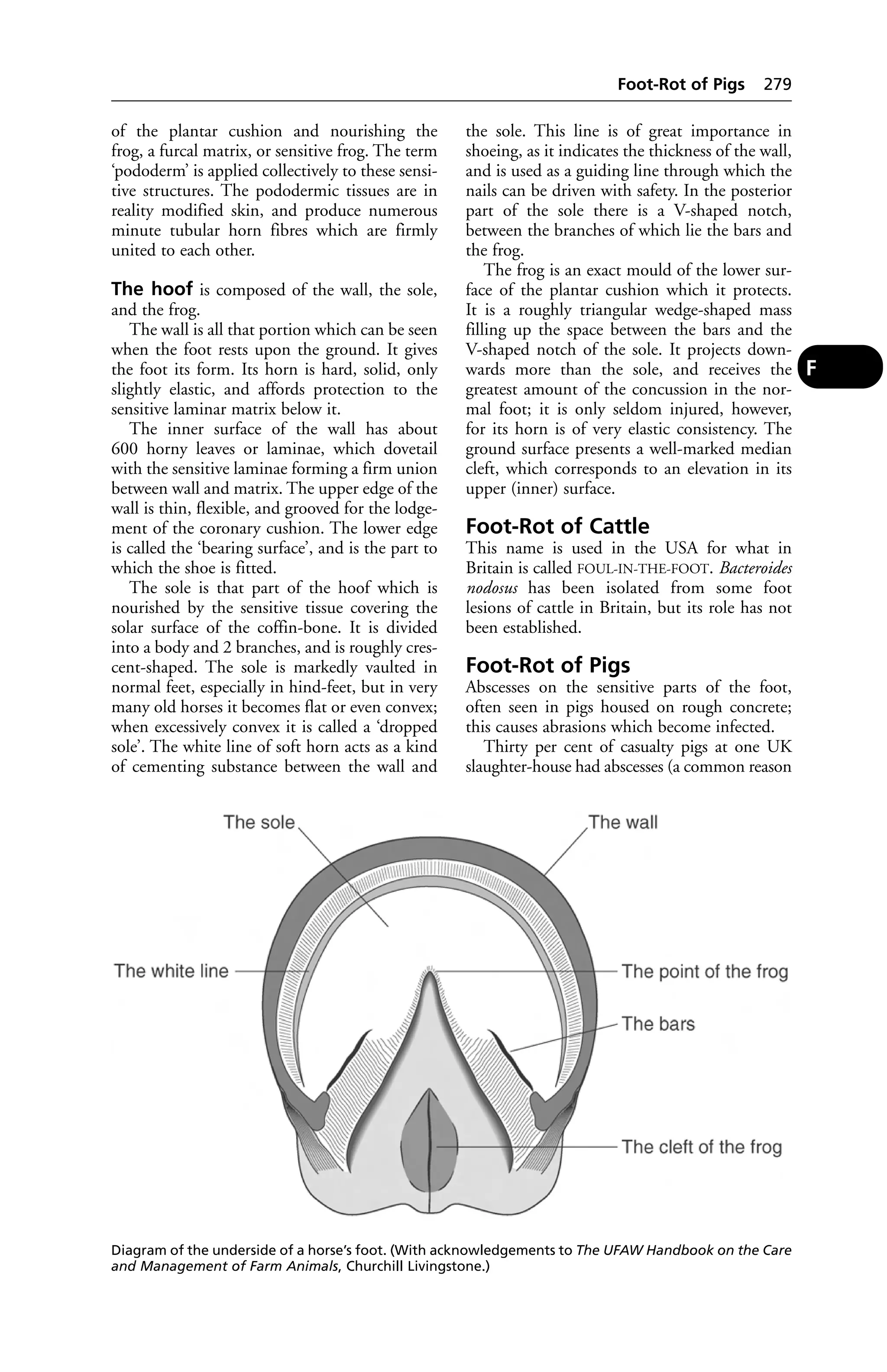 Veterinary dictionary _21st_edition