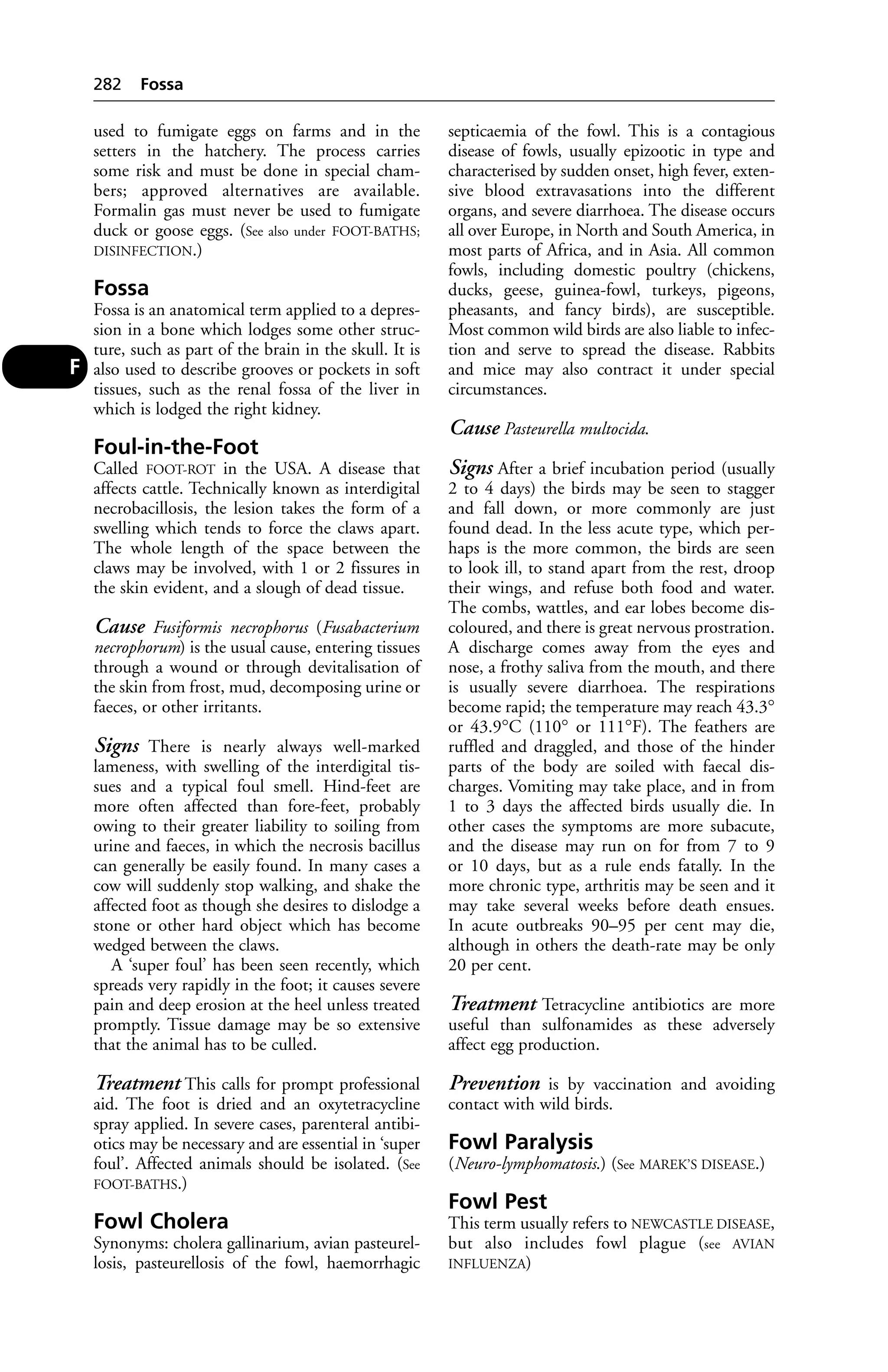 Veterinary dictionary _21st_edition