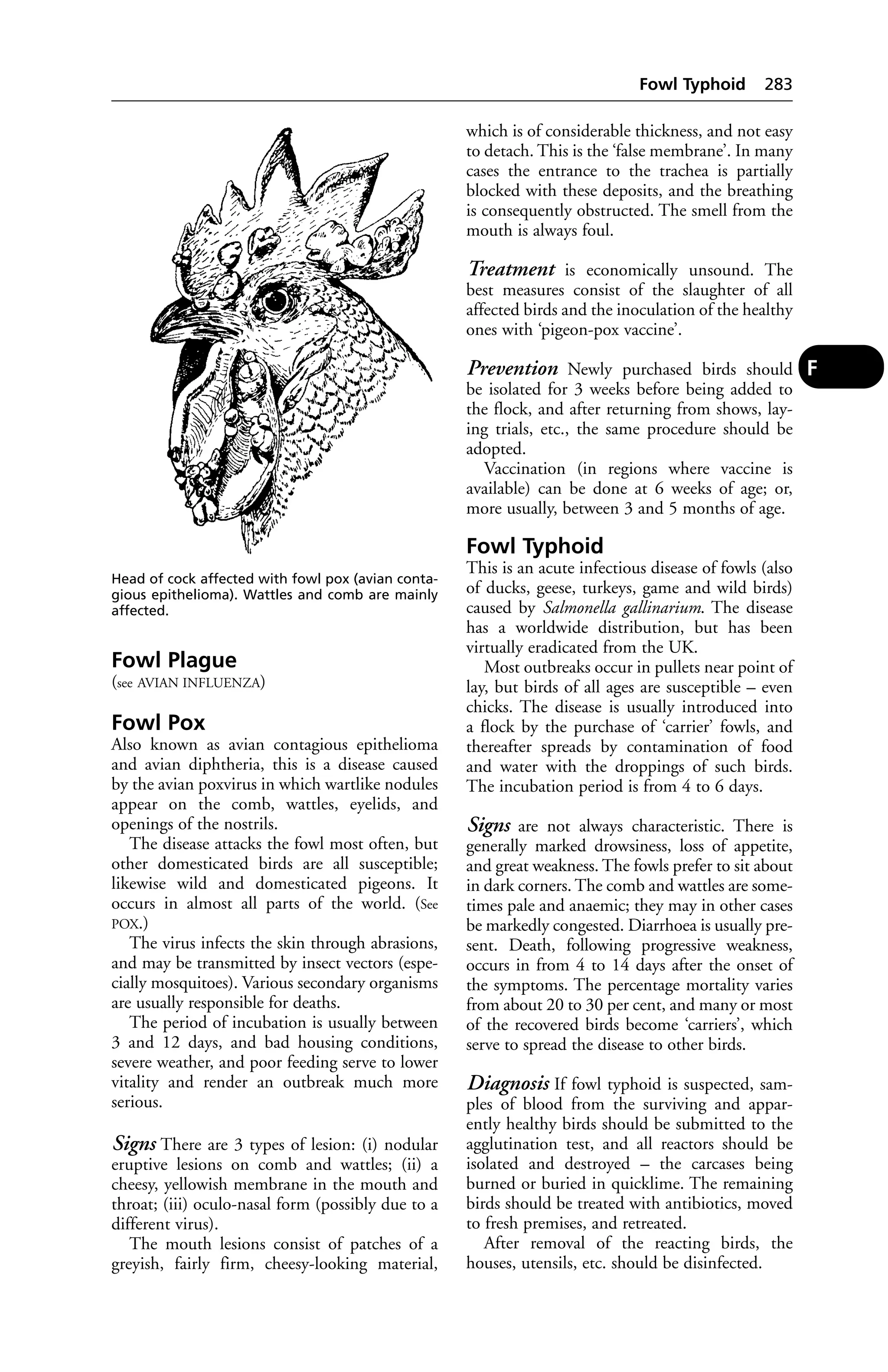 Veterinary dictionary _21st_edition