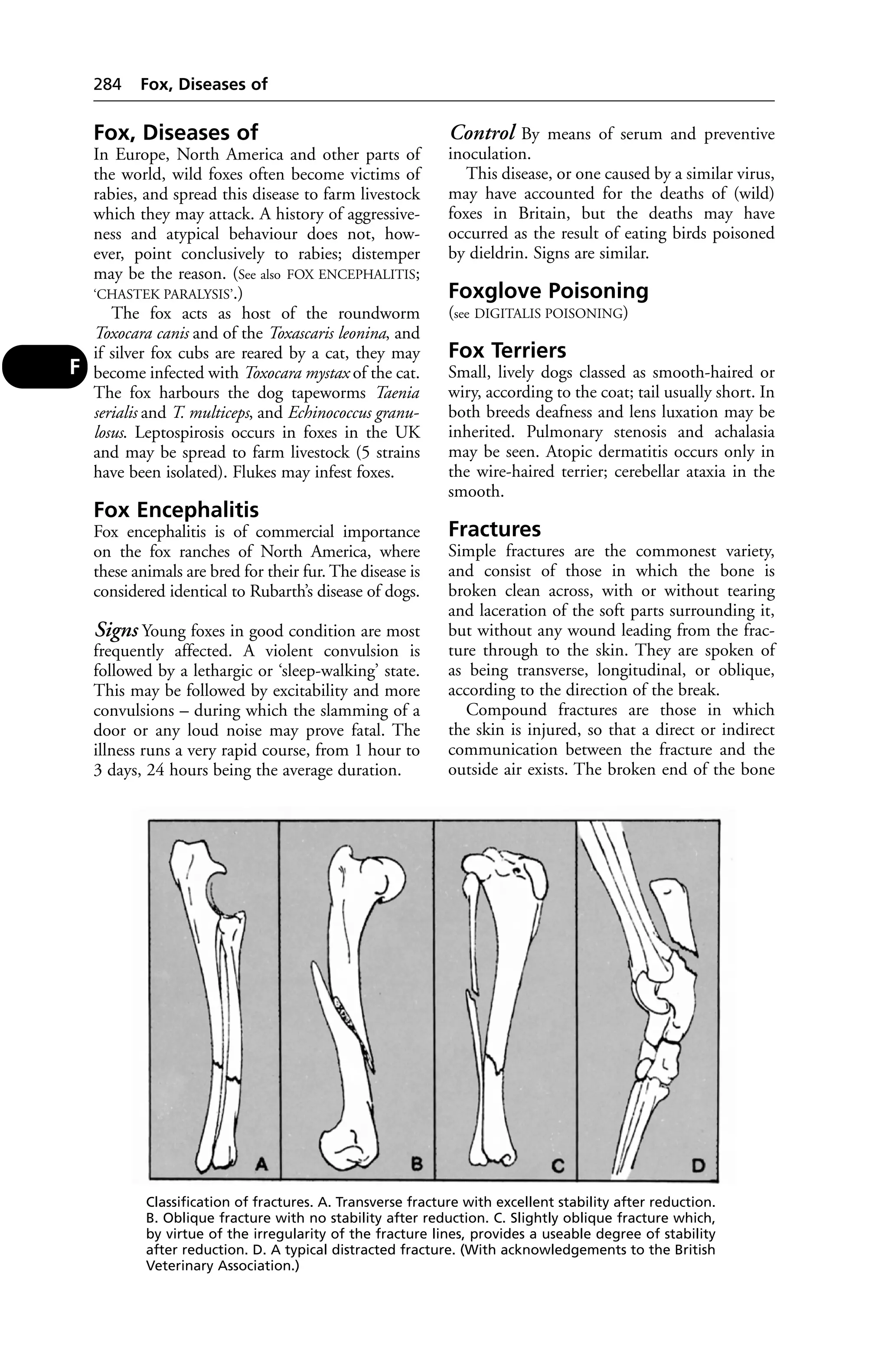 Veterinary dictionary _21st_edition