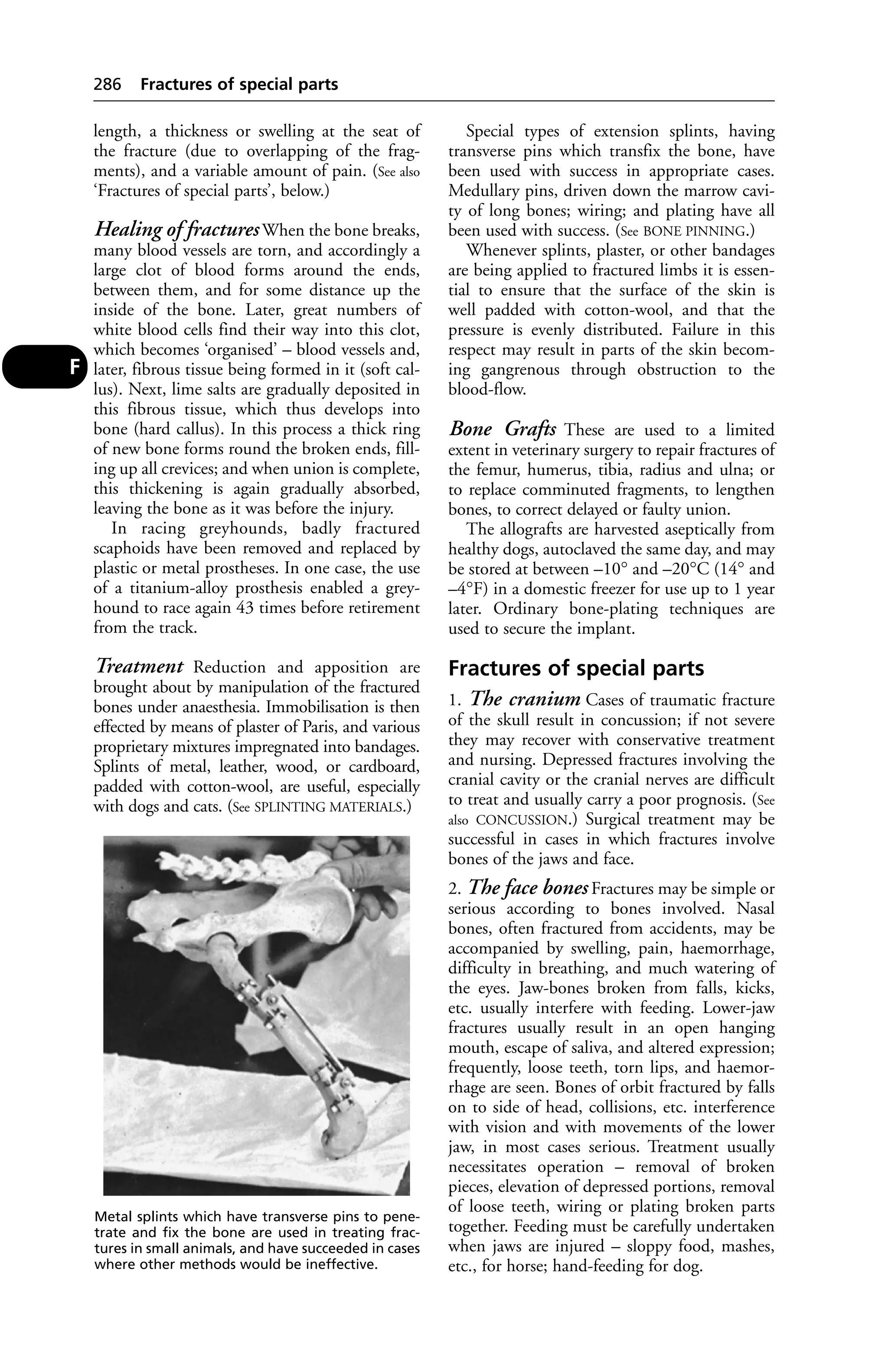 Veterinary dictionary _21st_edition