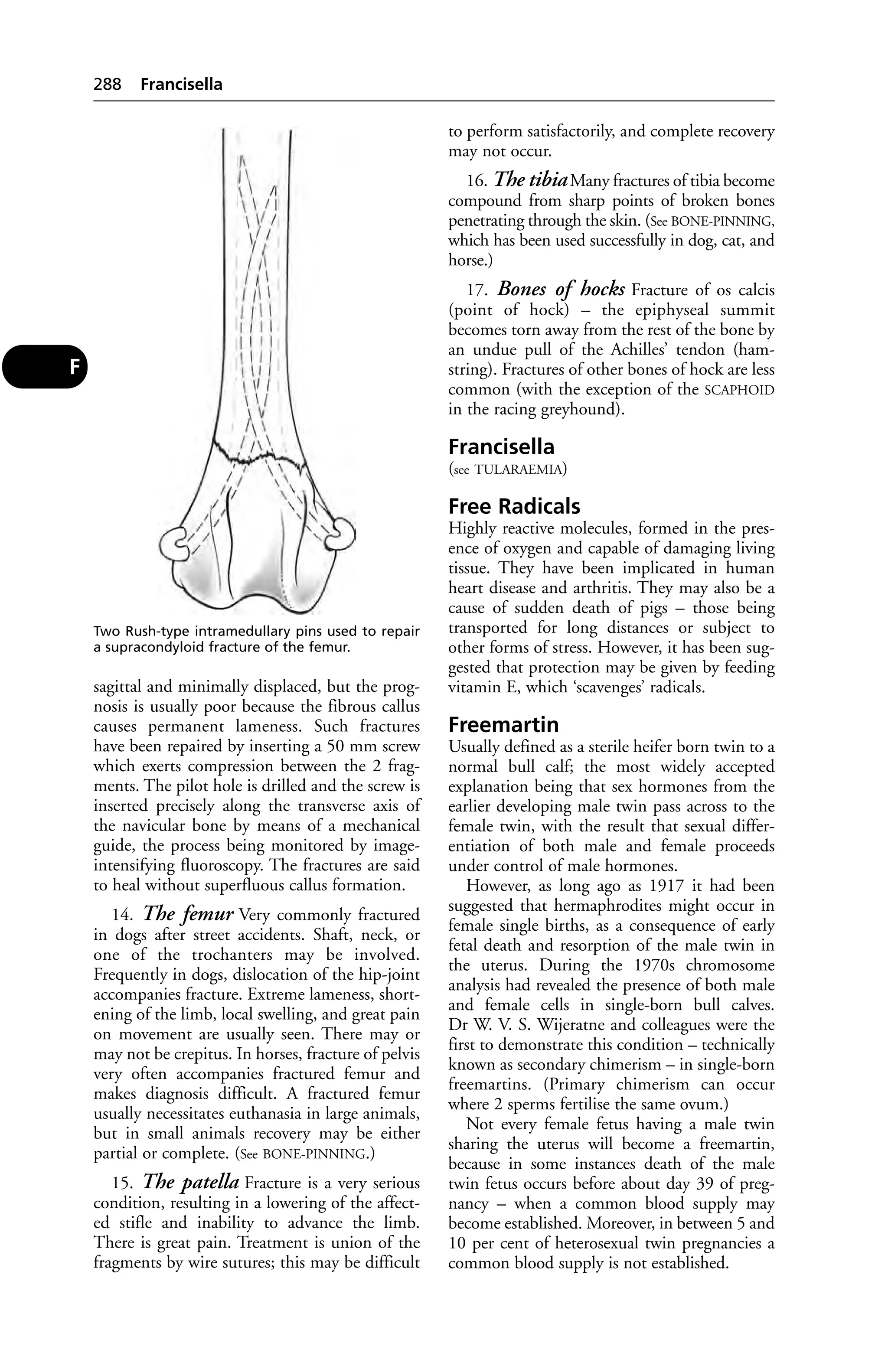Veterinary dictionary _21st_edition