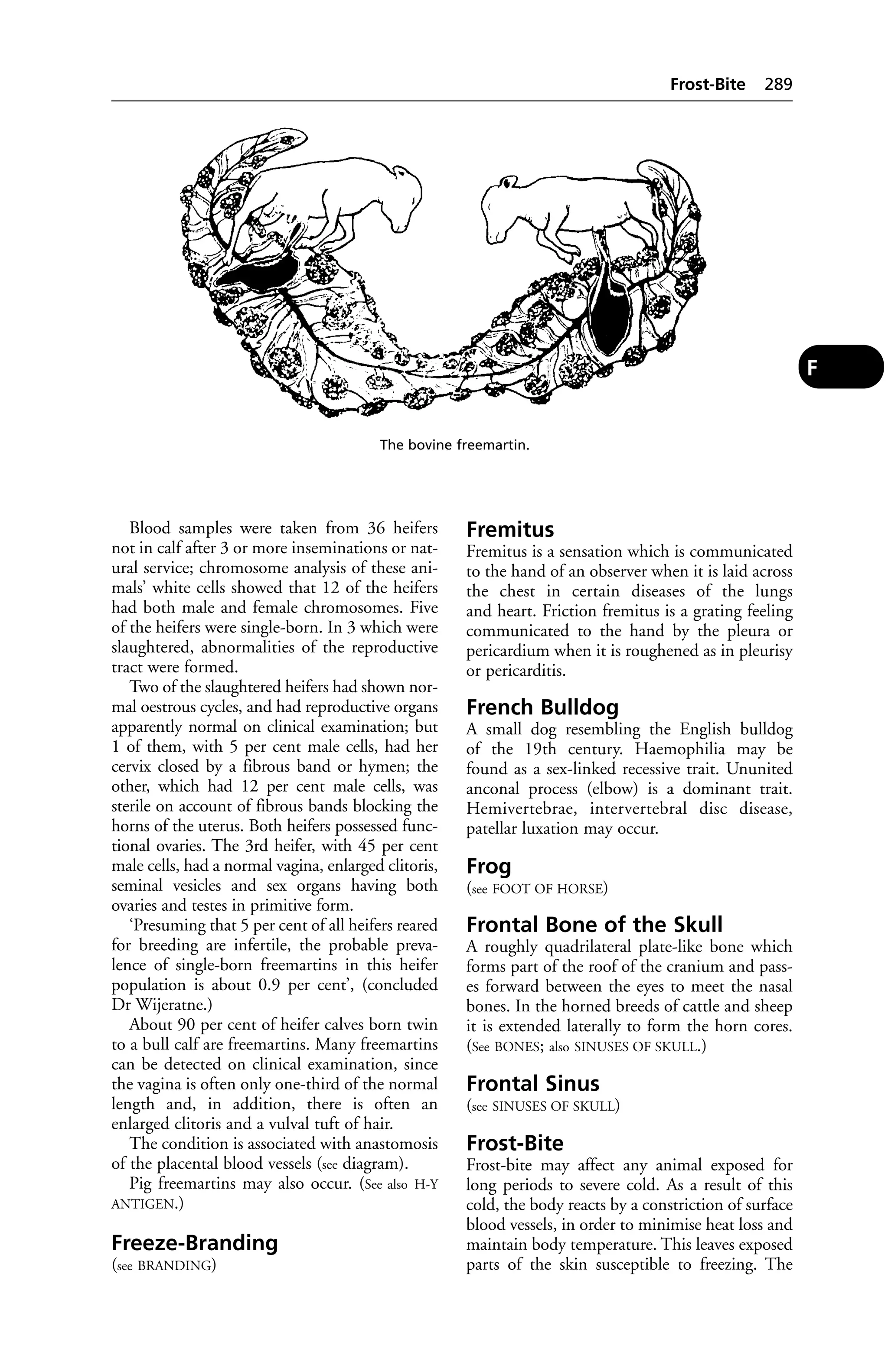 Veterinary dictionary _21st_edition