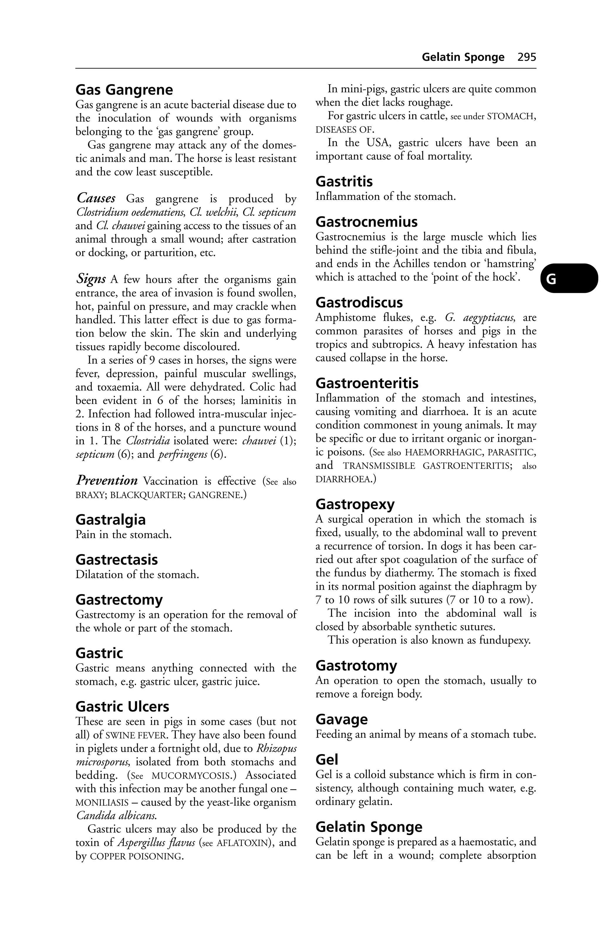 Veterinary dictionary _21st_edition