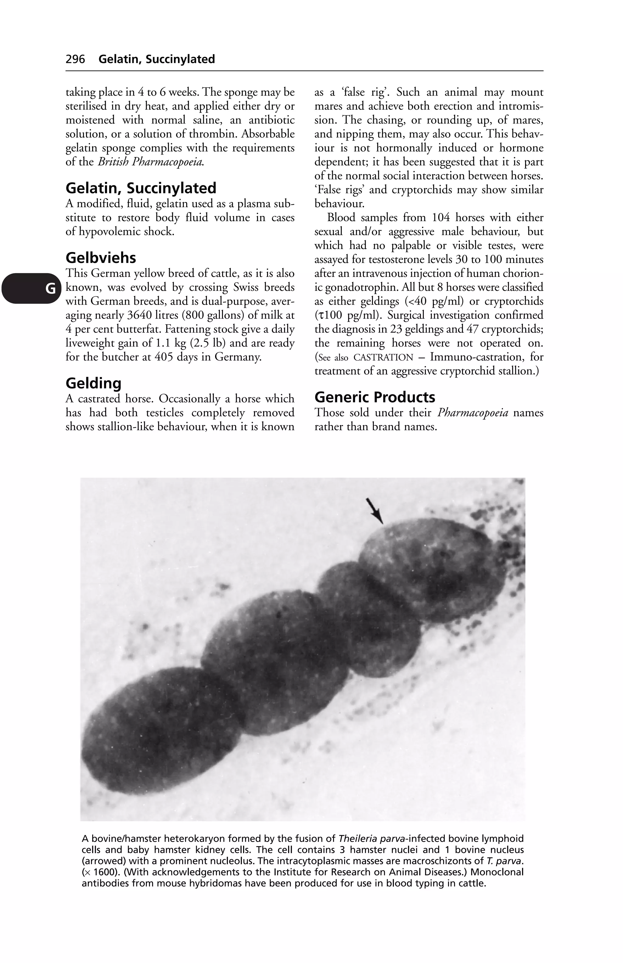 Veterinary dictionary _21st_edition