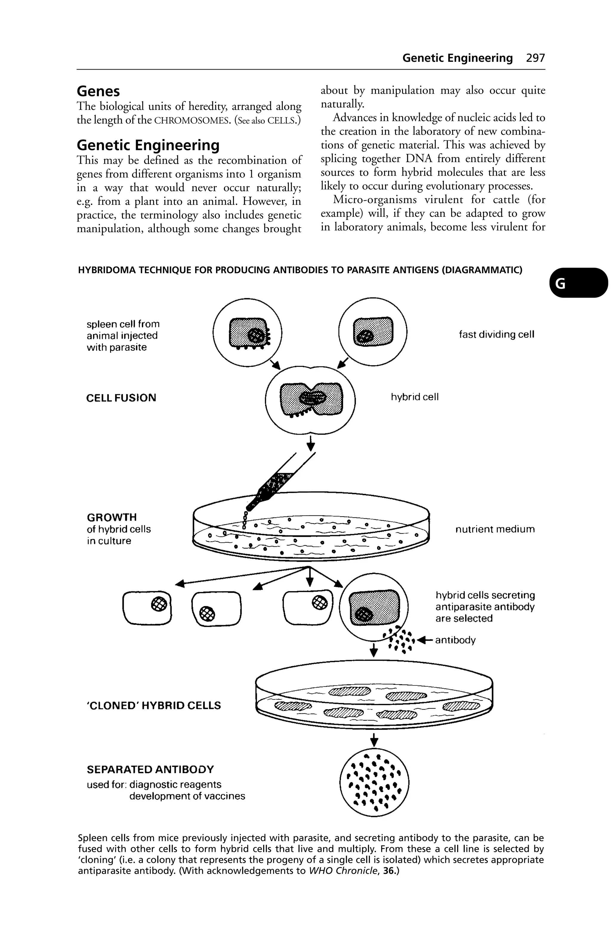 Veterinary dictionary _21st_edition