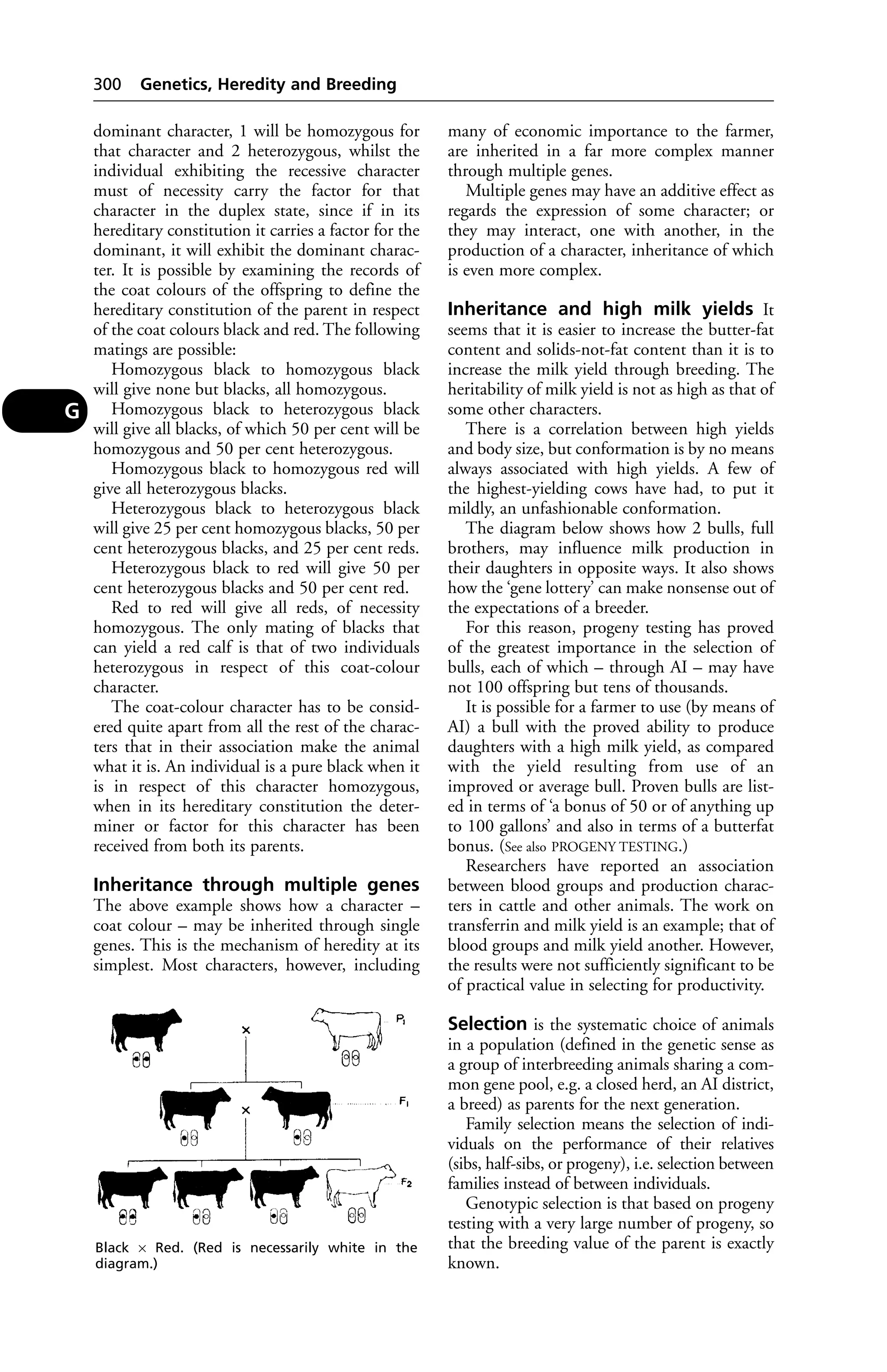 Veterinary dictionary _21st_edition