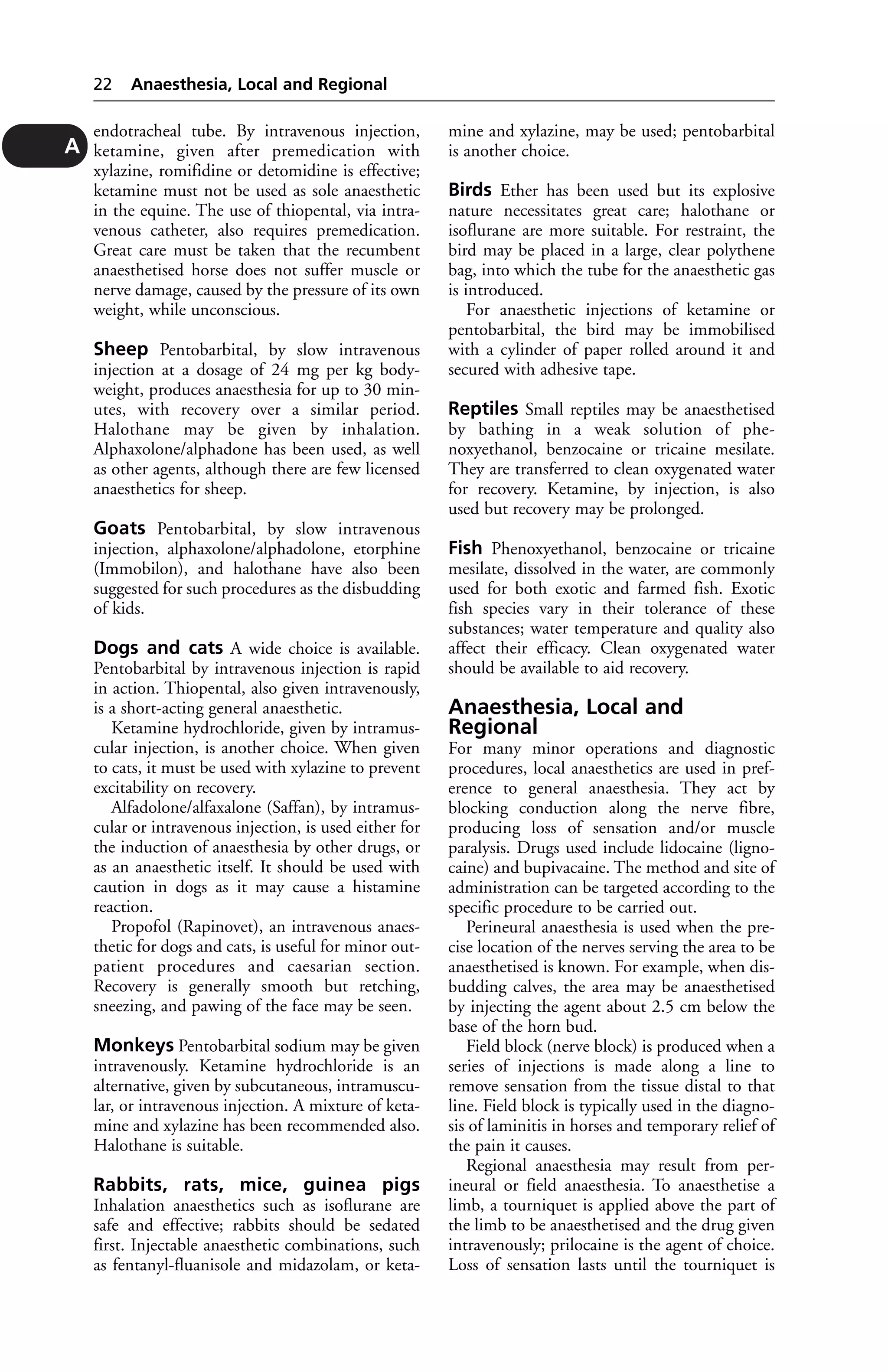 endotracheal tube. By intravenous injection, 
ketamine, given after premedication with 
xylazine, romifidine or detomidine is effective; 
ketamine must not be used as sole anaesthetic 
in the equine. The use of thiopental, via intra-venous 
catheter, also requires premedication. 
Great care must be taken that the recumbent 
anaesthetised horse does not suffer muscle or 
nerve damage, caused by the pressure of its own 
weight, while unconscious. 
Sheep Pentobarbital, by slow intravenous 
injection at a dosage of 24 mg per kg body-weight, 
produces anaesthesia for up to 30 min-utes, 
with recovery over a similar period. 
Halothane may be given by inhalation. 
Alphaxolone/alphadone has been used, as well 
as other agents, although there are few licensed 
anaesthetics for sheep. 
Goats Pentobarbital, by slow intravenous 
injection, alphaxolone/alphadolone, etorphine 
(Immobilon), and halothane have also been 
suggested for such procedures as the disbudding 
of kids. 
Dogs and cats A wide choice is available. 
Pentobarbital by intravenous injection is rapid 
in action. Thiopental, also given intravenously, 
is a short-acting general anaesthetic. 
Ketamine hydrochloride, given by intramus-cular 
injection, is another choice. When given 
to cats, it must be used with xylazine to prevent 
excitability on recovery. 
Alfadolone/alfaxalone (Saffan), by intramus-cular 
or intravenous injection, is used either for 
the induction of anaesthesia by other drugs, or 
as an anaesthetic itself. It should be used with 
caution in dogs as it may cause a histamine 
reaction. 
Propofol (Rapinovet), an intravenous anaes-thetic 
for dogs and cats, is useful for minor out-patient 
procedures and caesarian section. 
Recovery is generally smooth but retching, 
sneezing, and pawing of the face may be seen. 
Monkeys Pentobarbital sodium may be given 
intravenously. Ketamine hydrochloride is an 
alternative, given by subcutaneous, intramuscu-lar, 
or intravenous injection. A mixture of keta-mine 
and xylazine has been recommended also. 
Halothane is suitable. 
Rabbits, rats, mice, guinea pigs 
Inhalation anaesthetics such as isoflurane are 
safe and effective; rabbits should be sedated 
first. Injectable anaesthetic combinations, such 
as fentanyl-fluanisole and midazolam, or keta-mine 
and xylazine, may be used; pentobarbital 
is another choice. 
Birds Ether has been used but its explosive 
nature necessitates great care; halothane or 
isoflurane are more suitable. For restraint, the 
bird may be placed in a large, clear polythene 
bag, into which the tube for the anaesthetic gas 
is introduced. 
For anaesthetic injections of ketamine or 
pentobarbital, the bird may be immobilised 
with a cylinder of paper rolled around it and 
secured with adhesive tape. 
Reptiles Small reptiles may be anaesthetised 
by bathing in a weak solution of phe-noxyethanol, 
benzocaine or tricaine mesilate. 
They are transferred to clean oxygenated water 
for recovery. Ketamine, by injection, is also 
used but recovery may be prolonged. 
Fish Phenoxyethanol, benzocaine or tricaine 
mesilate, dissolved in the water, are commonly 
used for both exotic and farmed fish. Exotic 
fish species vary in their tolerance of these 
substances; water temperature and quality also 
affect their efficacy. Clean oxygenated water 
should be available to aid recovery. 
Anaesthesia, Local and 
Regional 
For many minor operations and diagnostic 
procedures, local anaesthetics are used in pref-erence 
to general anaesthesia. They act by 
blocking conduction along the nerve fibre, 
producing loss of sensation and/or muscle 
paralysis. Drugs used include lidocaine (ligno-caine) 
and bupivacaine. The method and site of 
administration can be targeted according to the 
specific procedure to be carried out. 
Perineural anaesthesia is used when the pre-cise 
location of the nerves serving the area to be 
anaesthetised is known. For example, when dis-budding 
calves, the area may be anaesthetised 
by injecting the agent about 2.5 cm below the 
base of the horn bud. 
Field block (nerve block) is produced when a 
series of injections is made along a line to 
remove sensation from the tissue distal to that 
line. Field block is typically used in the diagno-sis 
of laminitis in horses and temporary relief of 
the pain it causes. 
Regional anaesthesia may result from per-ineural 
or field anaesthesia. To anaesthetise a 
limb, a tourniquet is applied above the part of 
the limb to be anaesthetised and the drug given 
intravenously; prilocaine is the agent of choice. 
Loss of sensation lasts until the tourniquet is 
22 Anaesthesia, Local and Regional 
A 
 