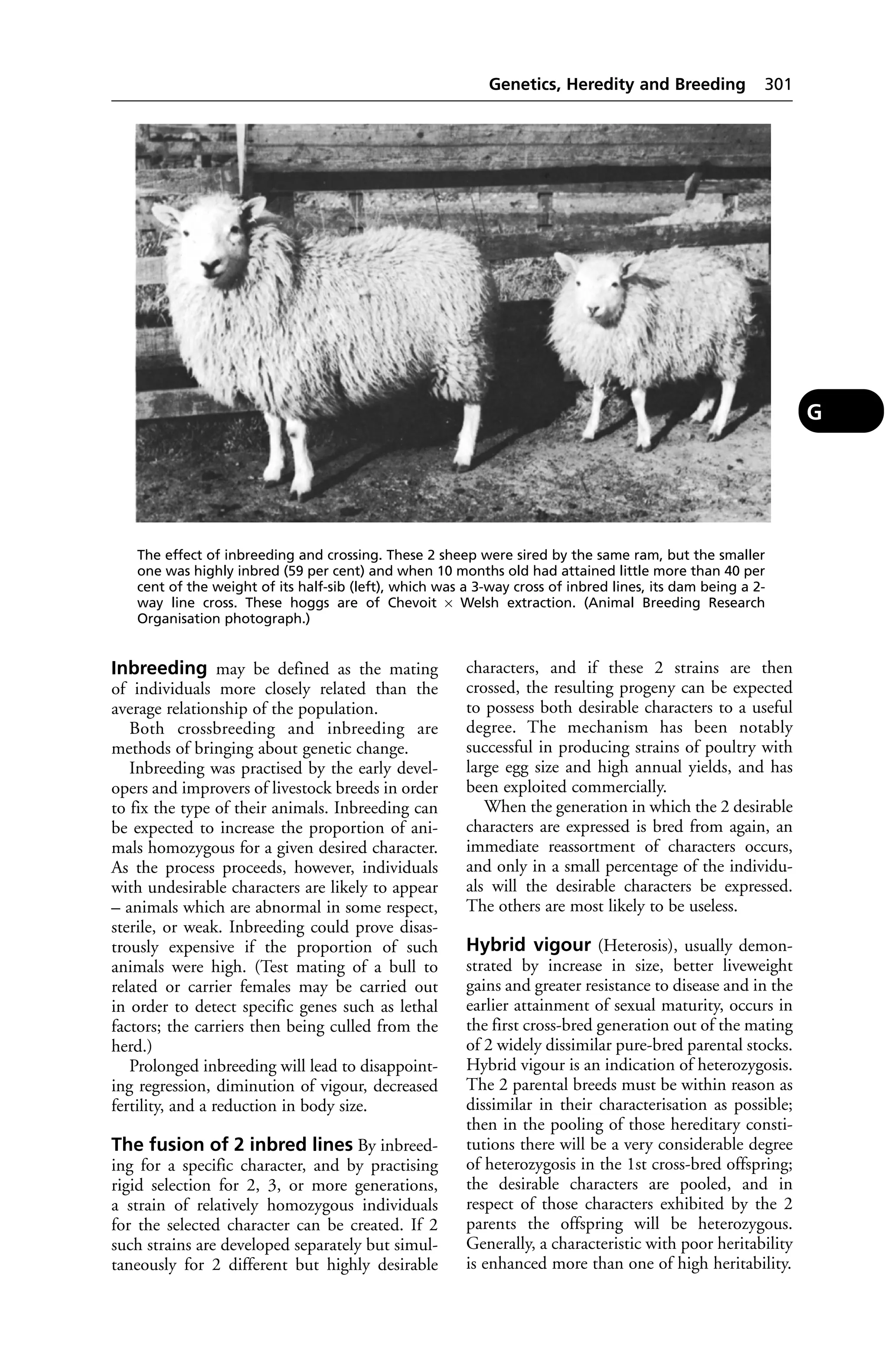 Veterinary dictionary _21st_edition