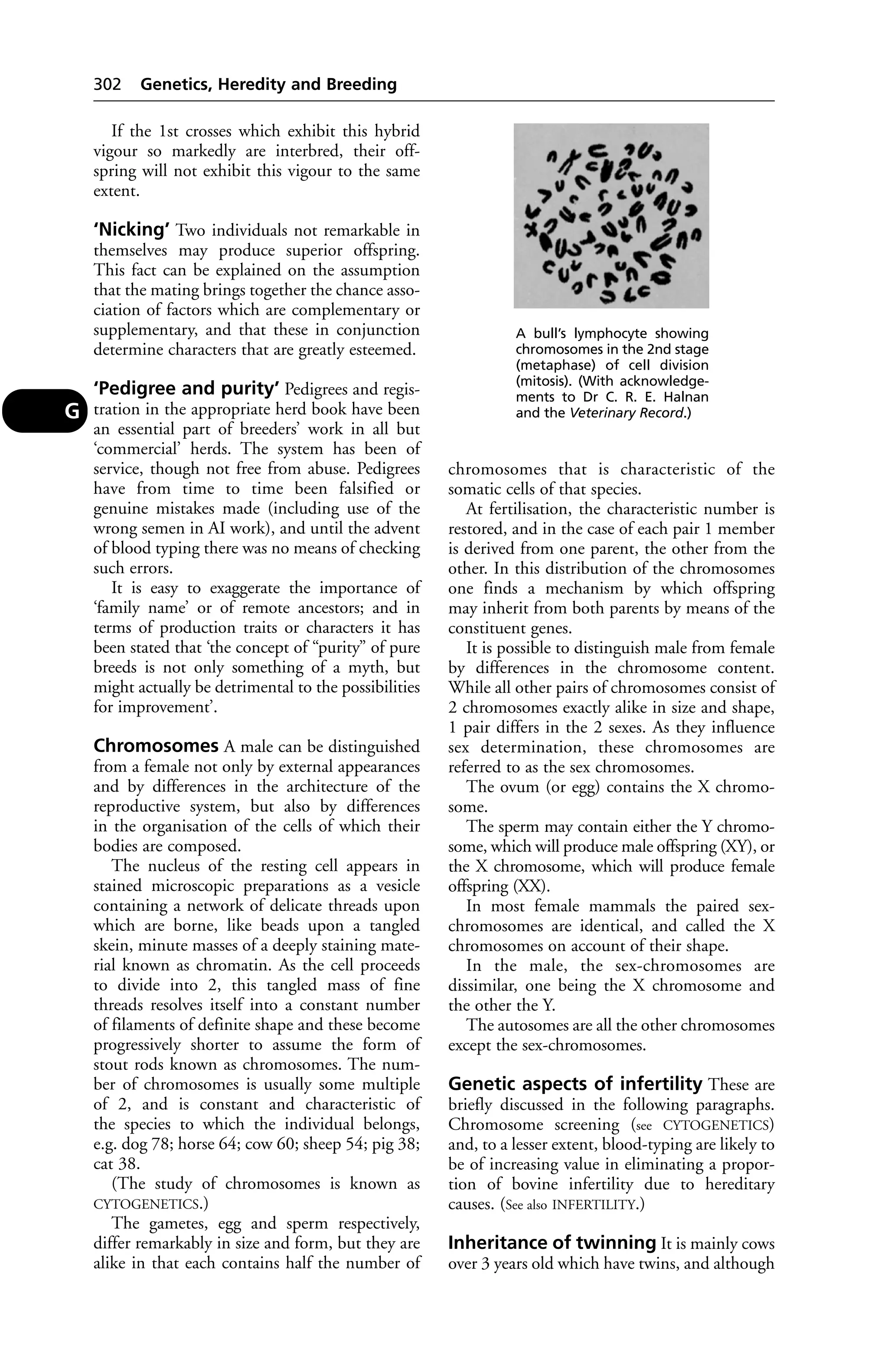 Veterinary dictionary _21st_edition