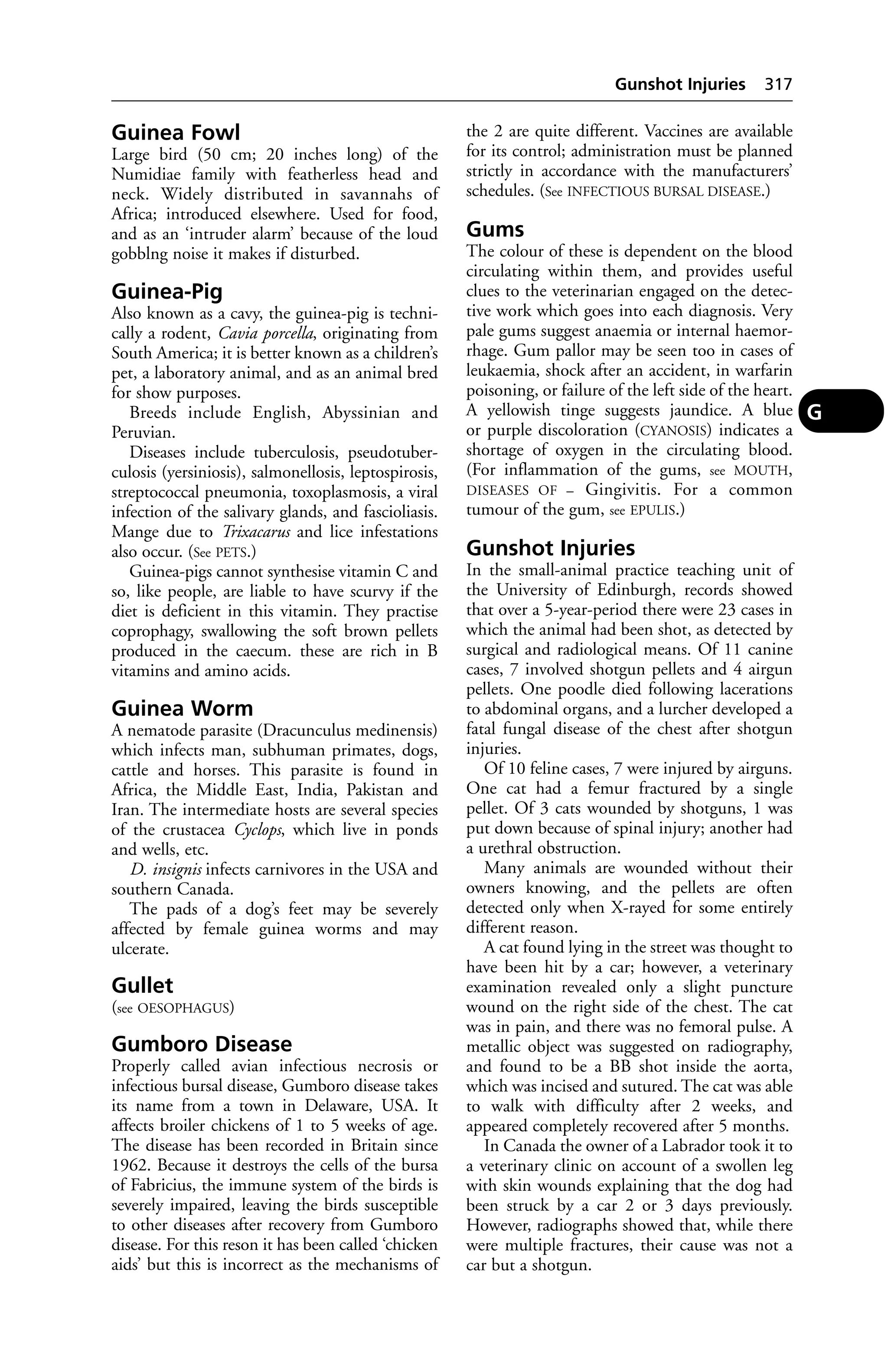 Veterinary dictionary _21st_edition