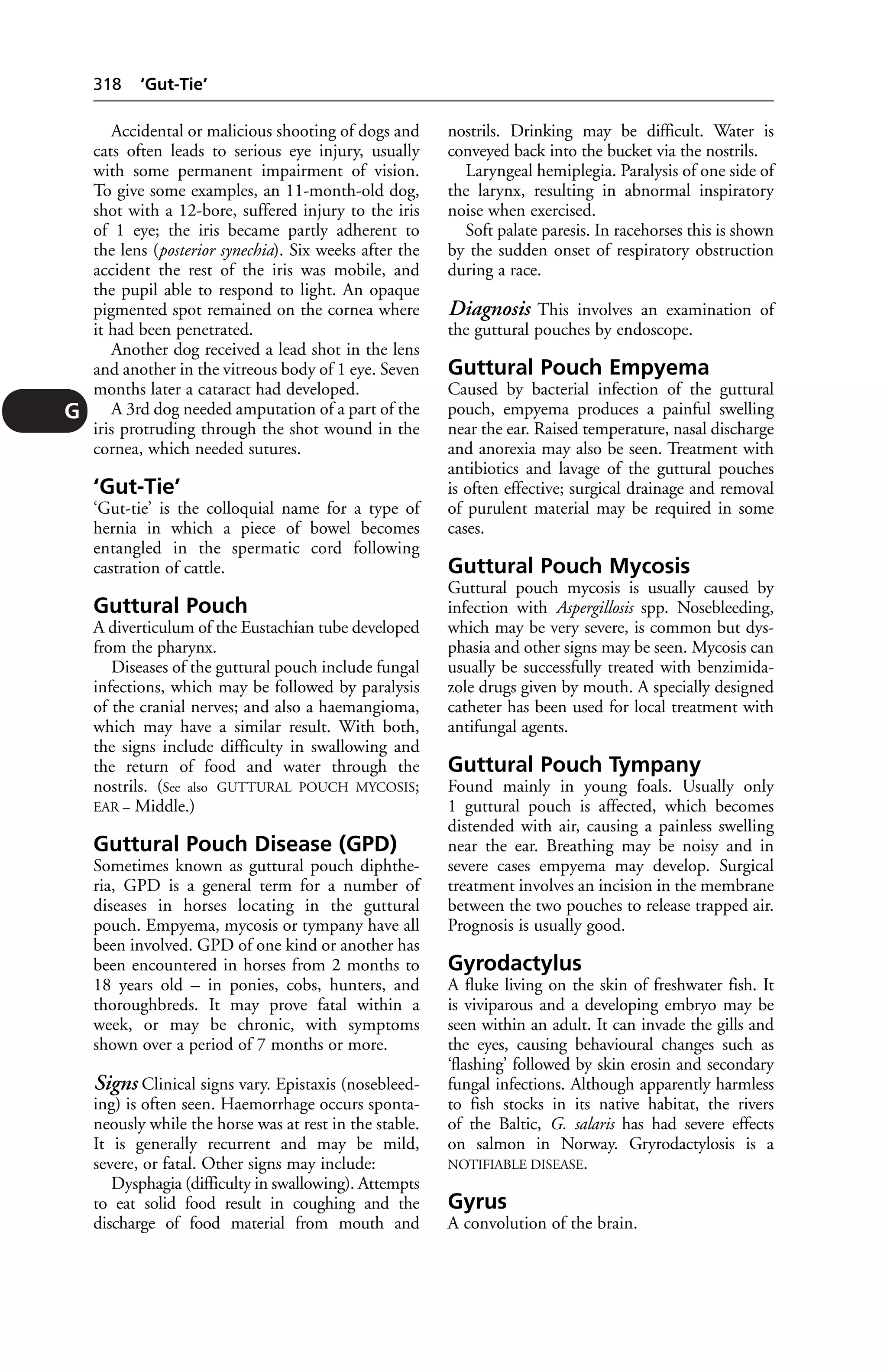 Veterinary dictionary _21st_edition