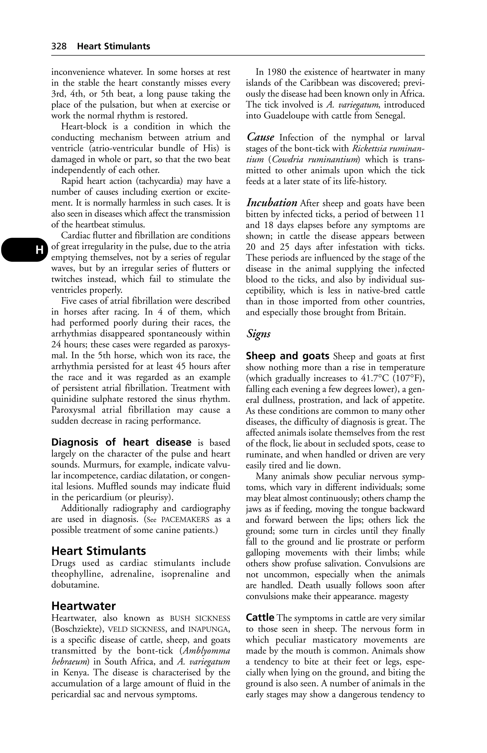 Veterinary dictionary _21st_edition