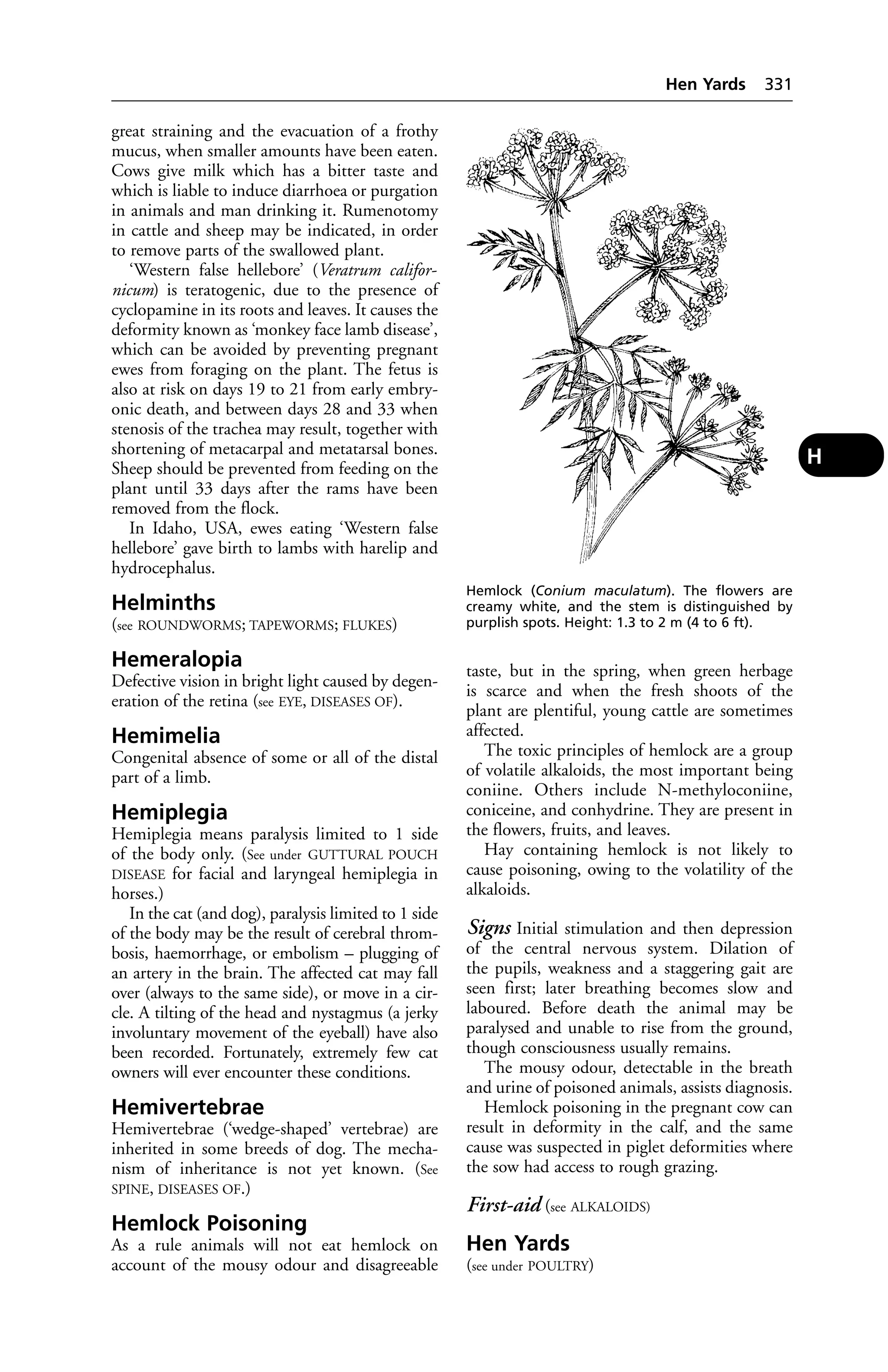 Veterinary dictionary _21st_edition