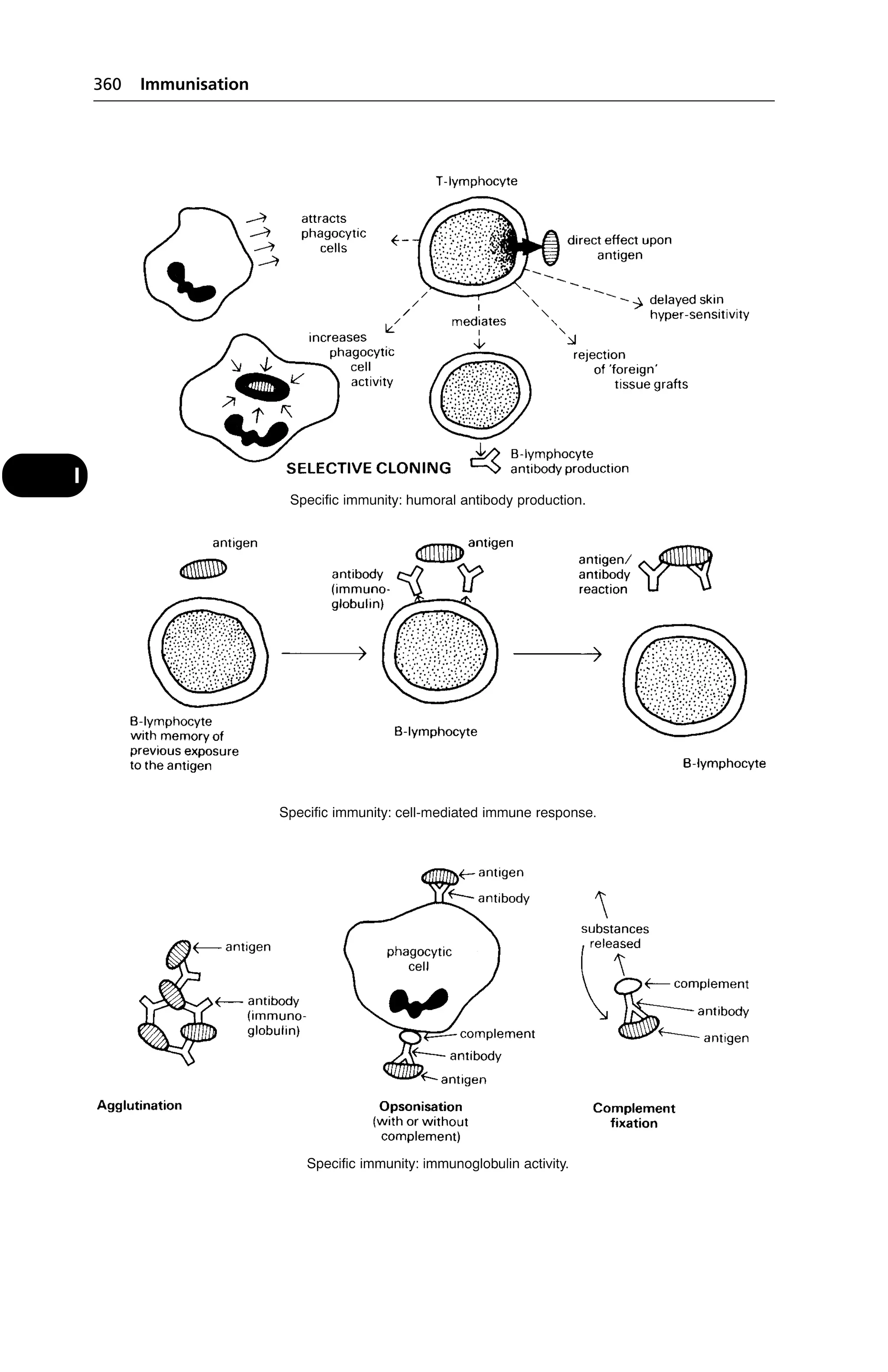 Veterinary dictionary _21st_edition