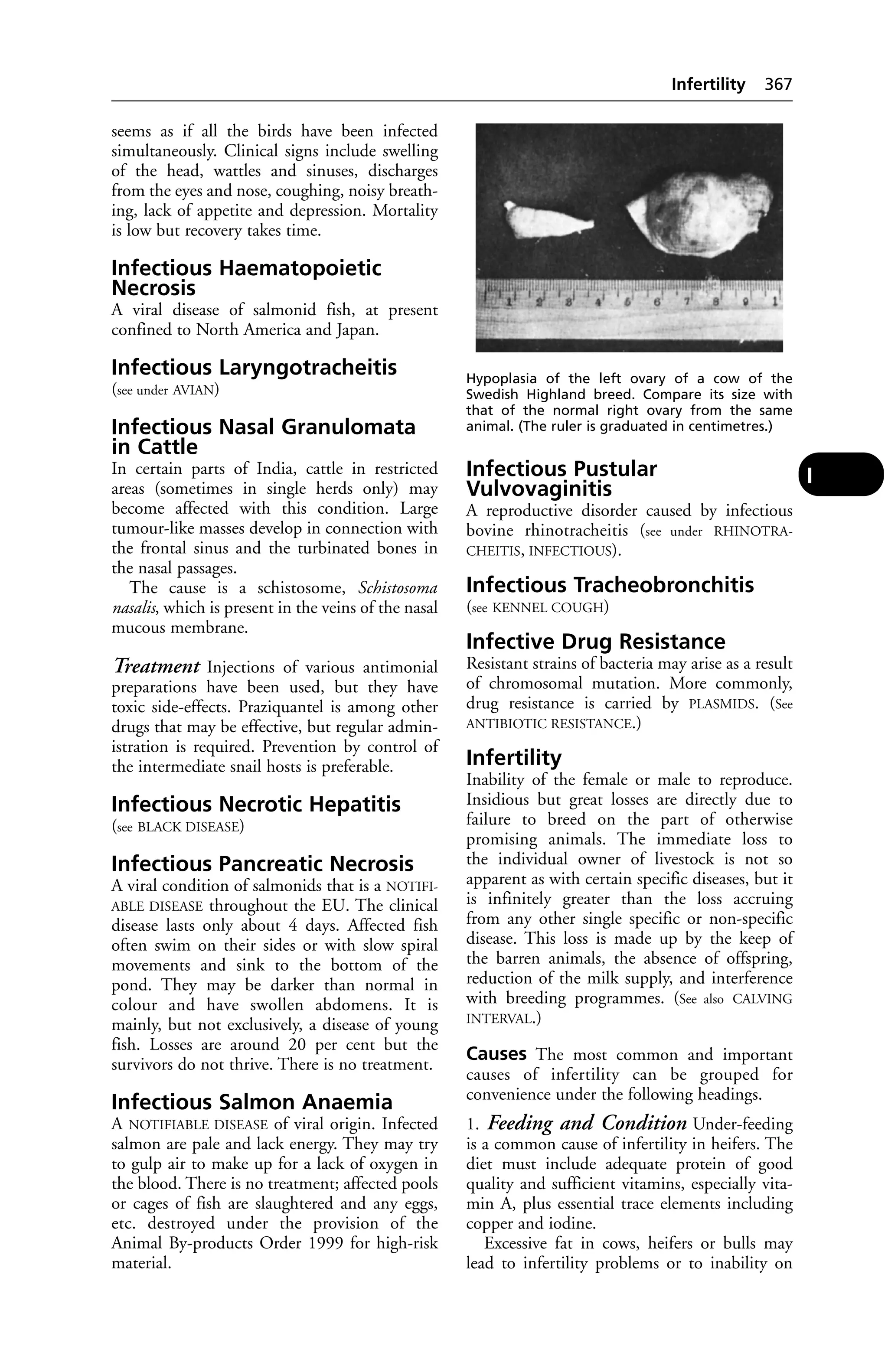 Veterinary dictionary _21st_edition