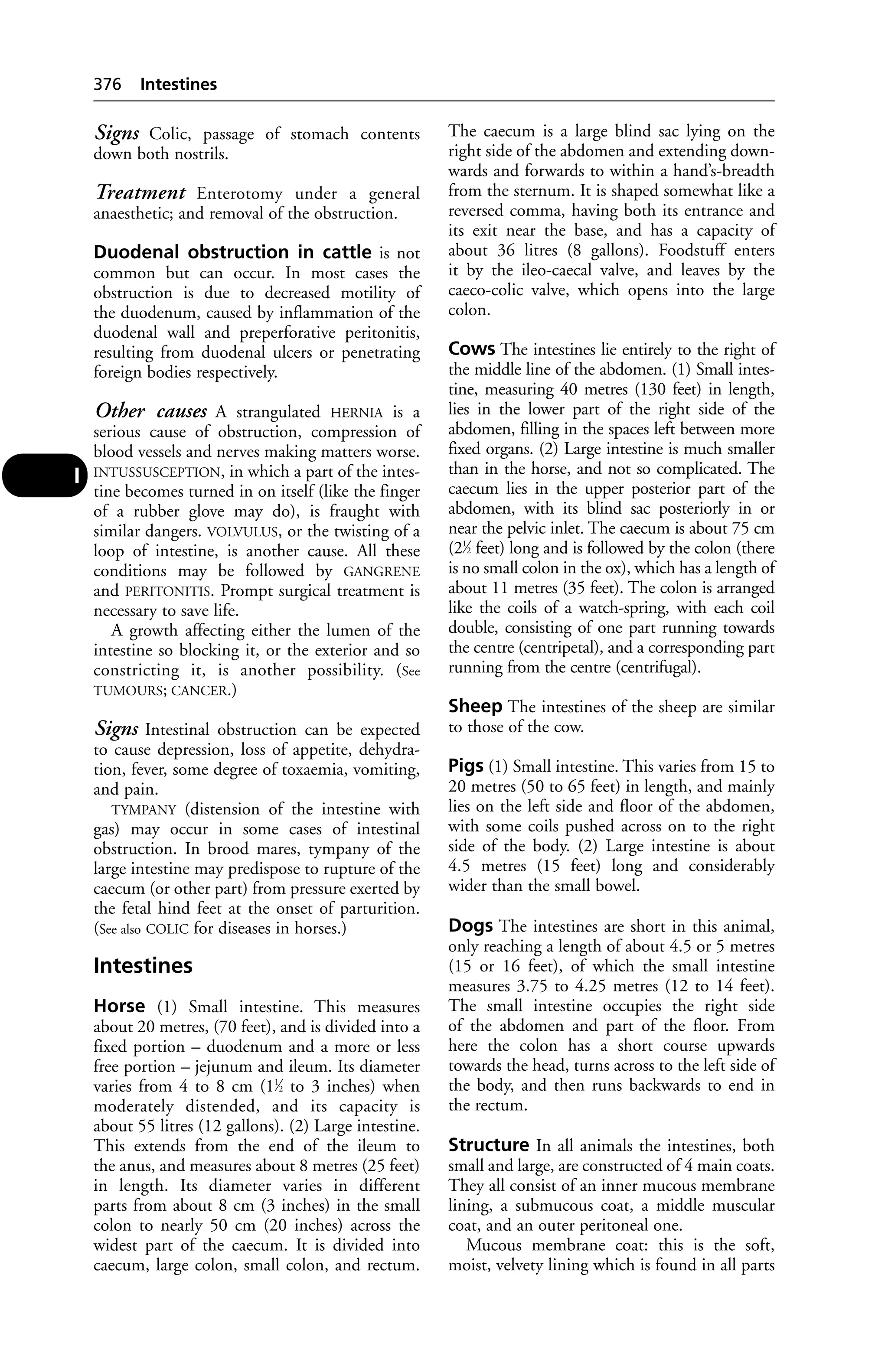 Veterinary dictionary _21st_edition