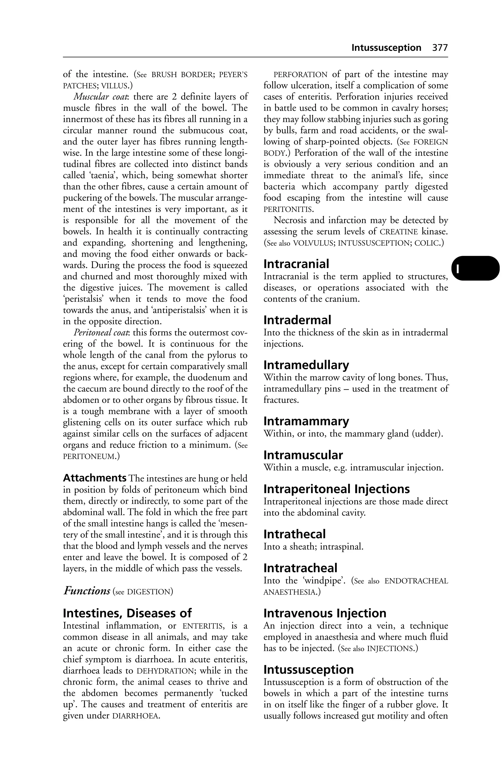 Veterinary dictionary _21st_edition