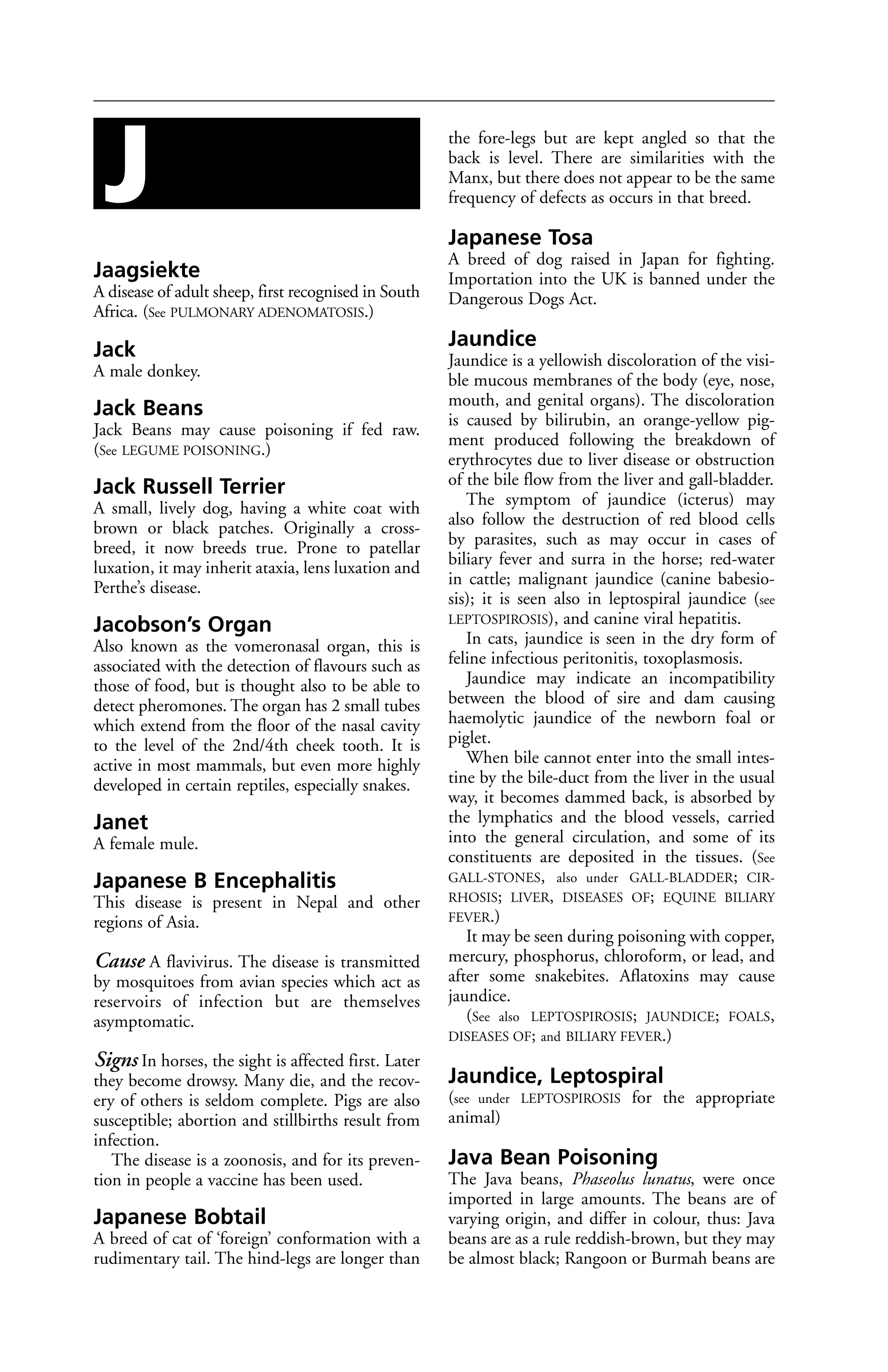 Veterinary dictionary _21st_edition