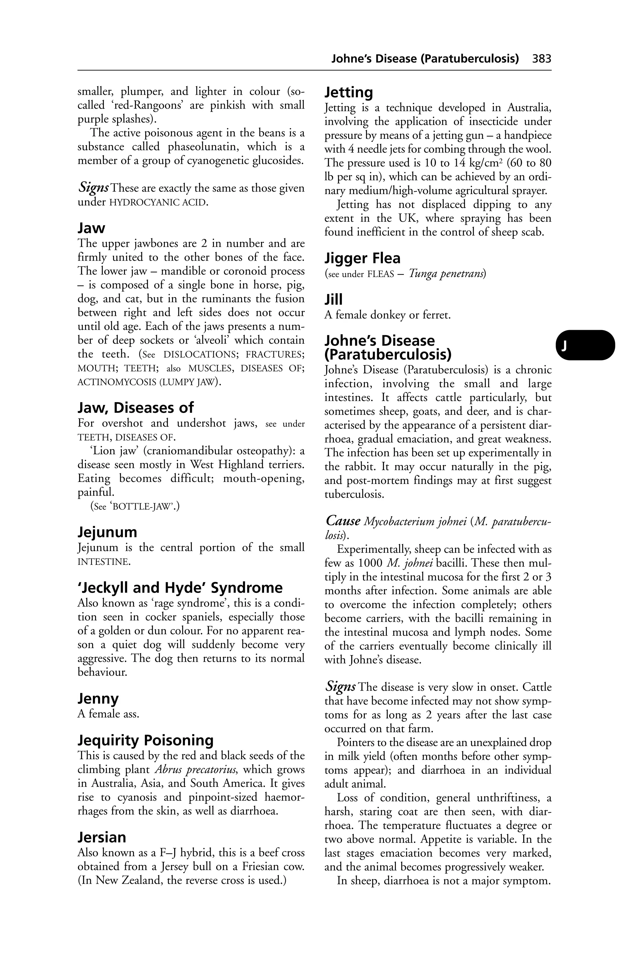 Veterinary dictionary _21st_edition