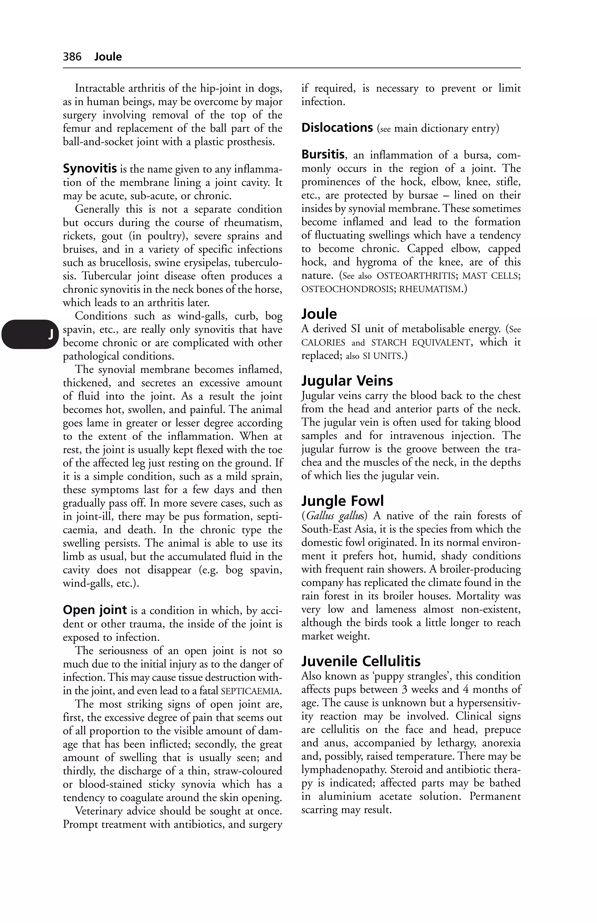 Veterinary dictionary _21st_edition