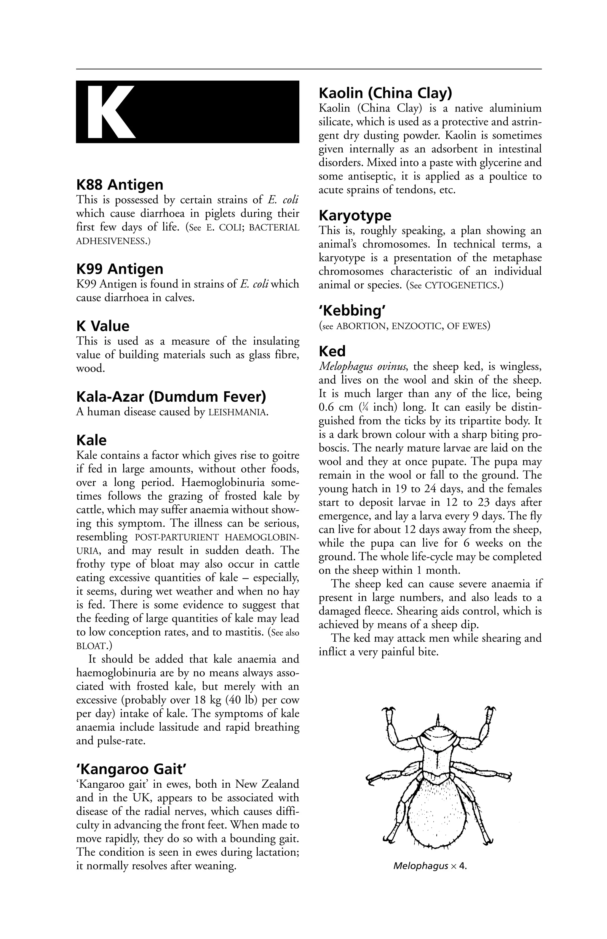 Veterinary dictionary _21st_edition