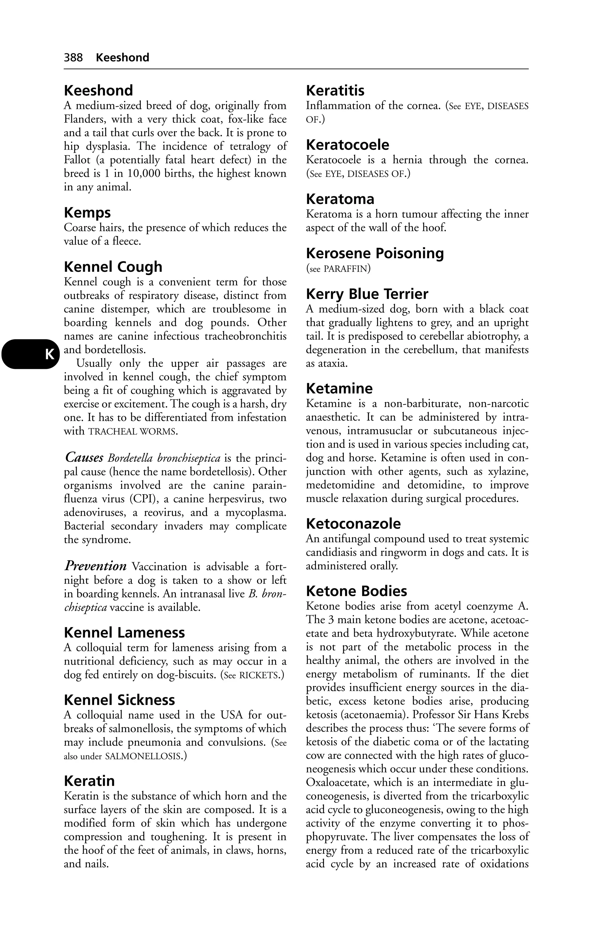 Veterinary dictionary _21st_edition