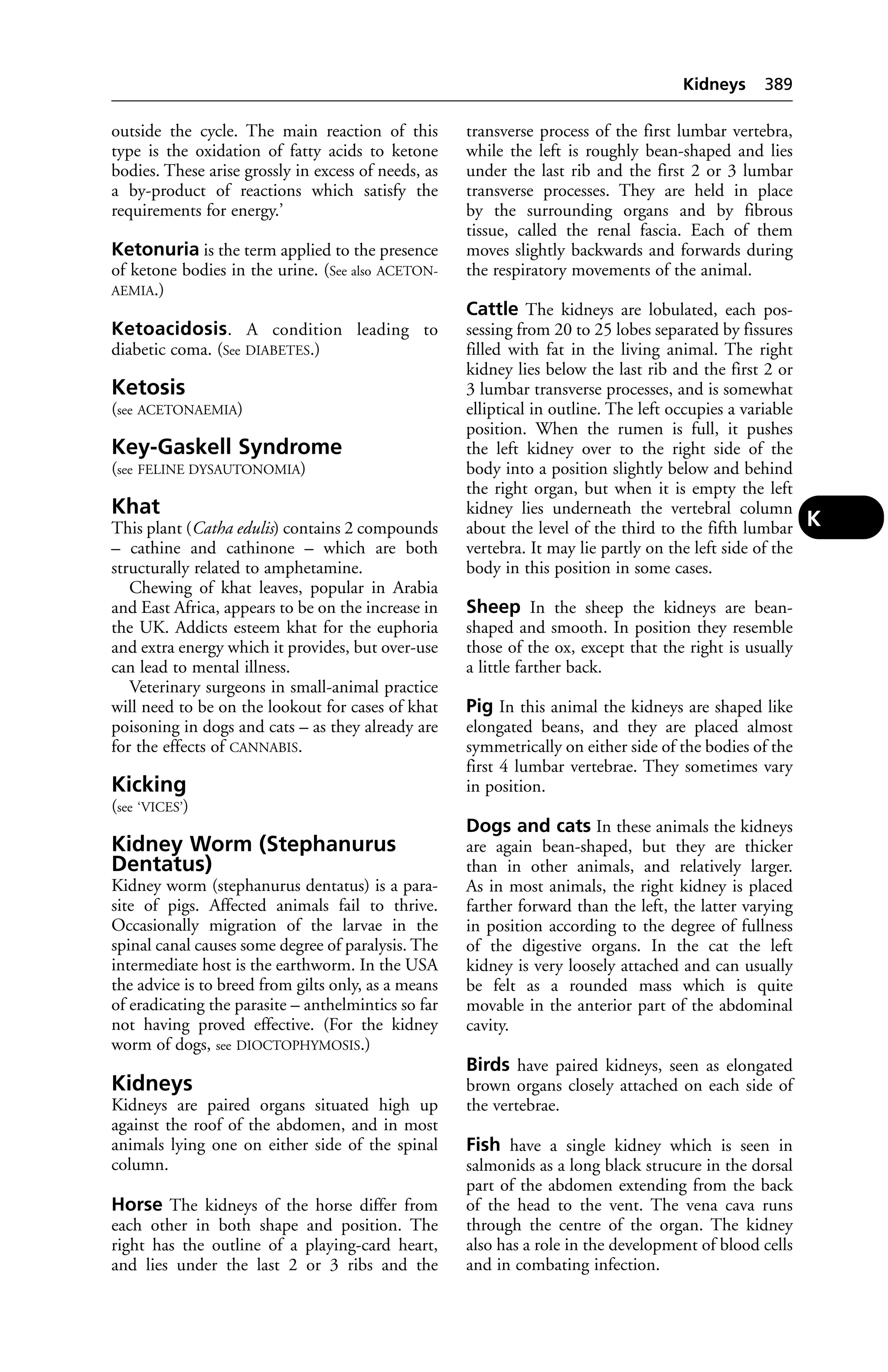 Veterinary dictionary _21st_edition