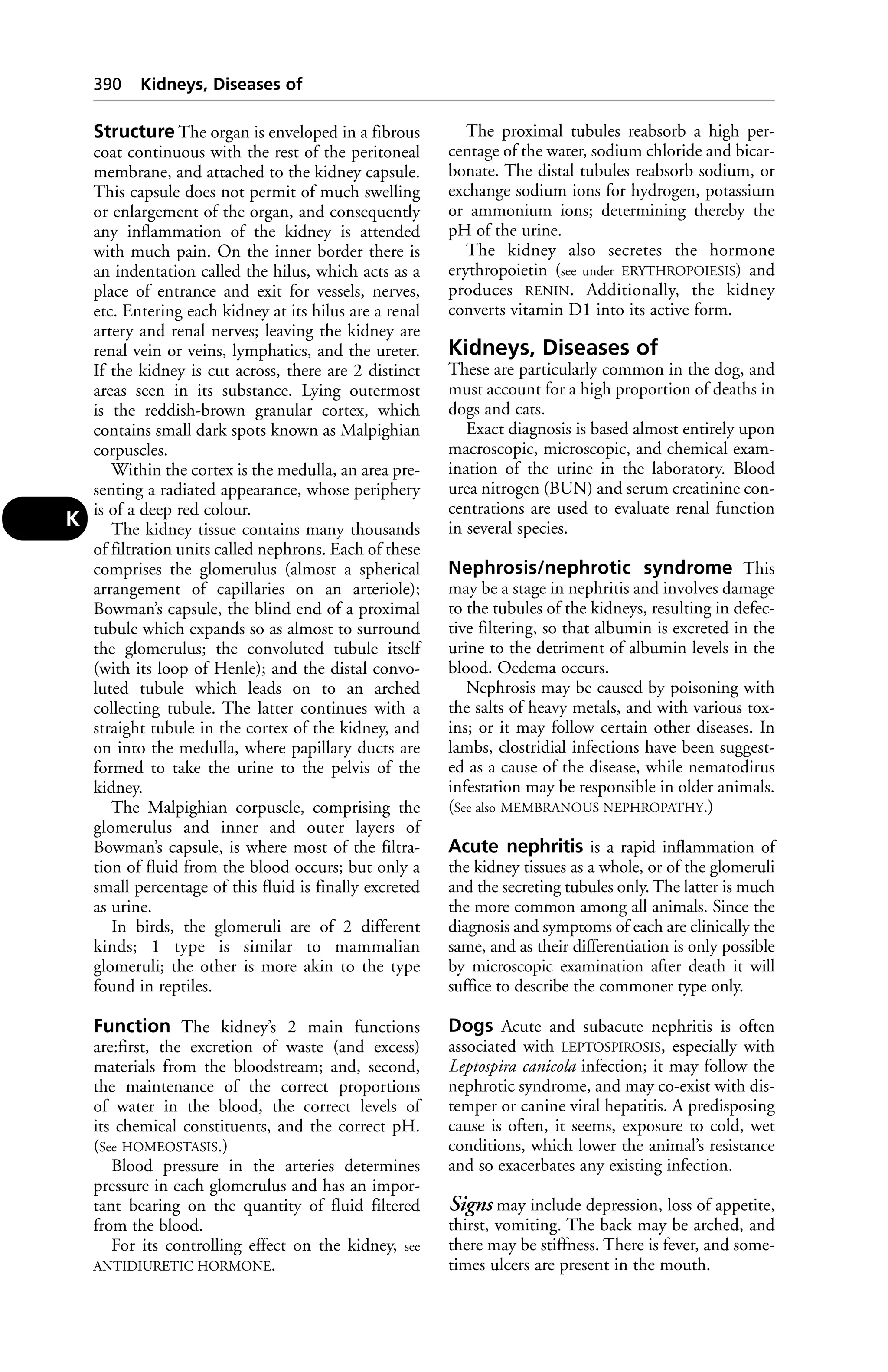 Veterinary dictionary _21st_edition