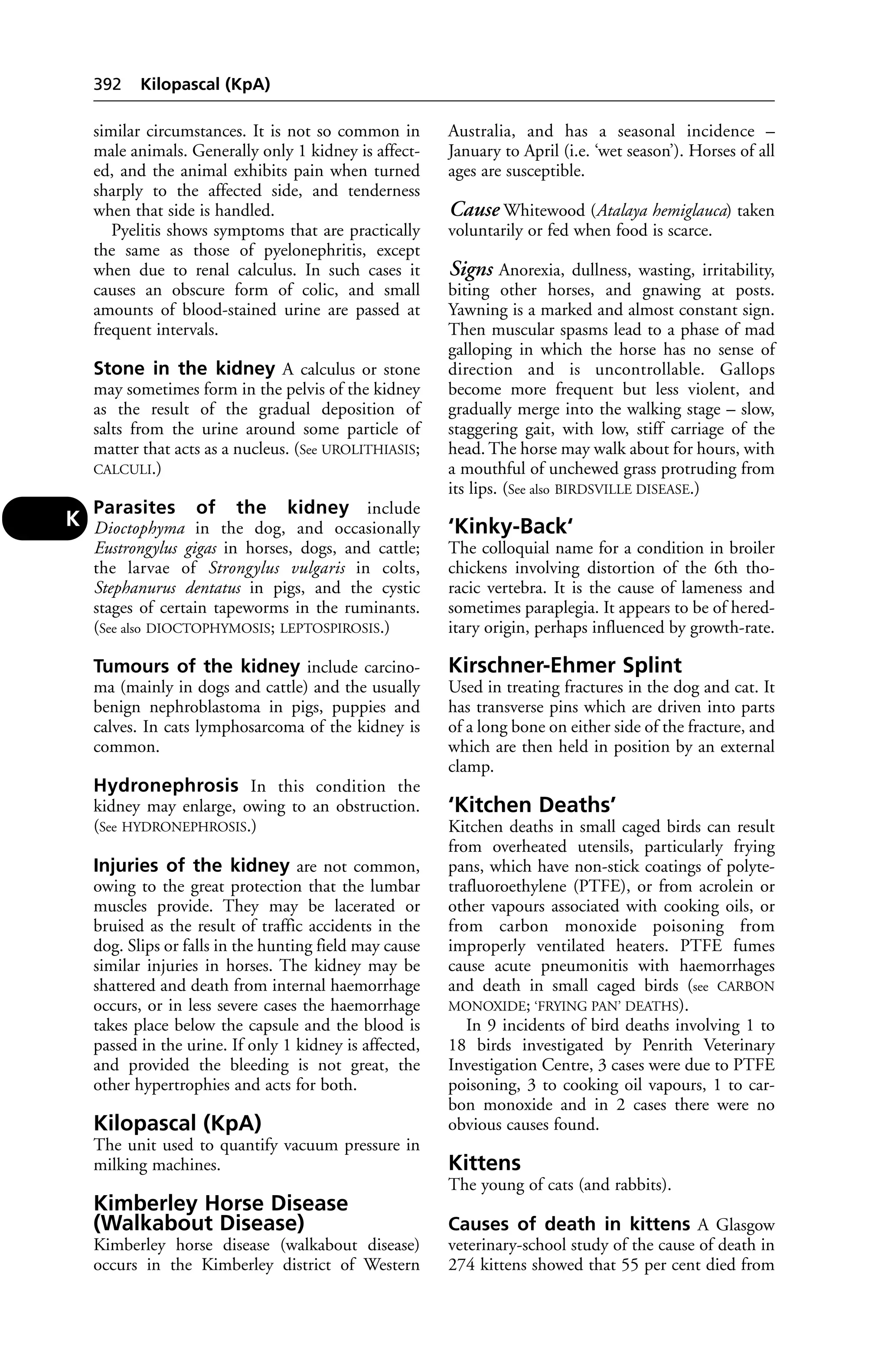 Veterinary dictionary _21st_edition