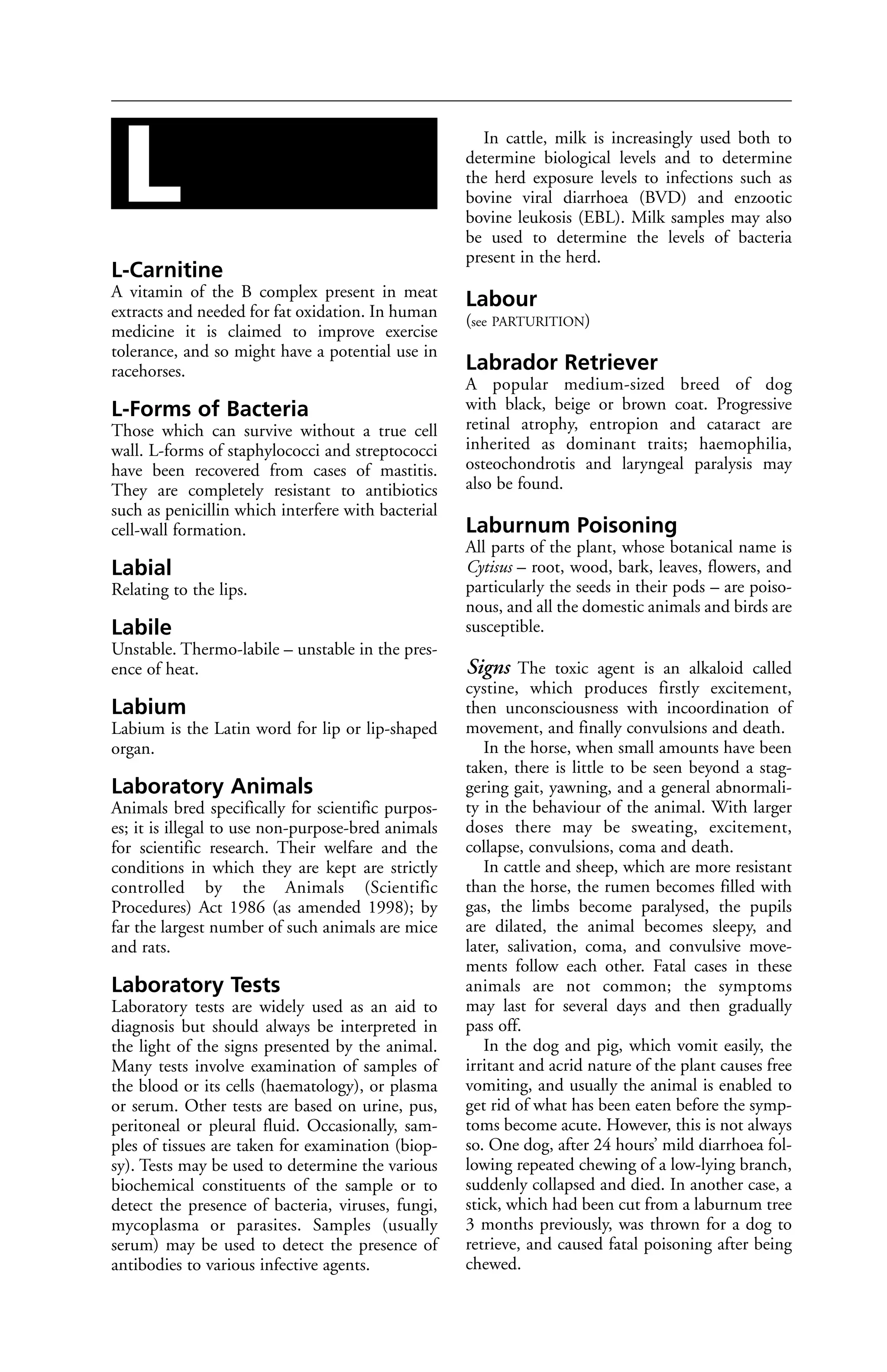 Veterinary dictionary _21st_edition