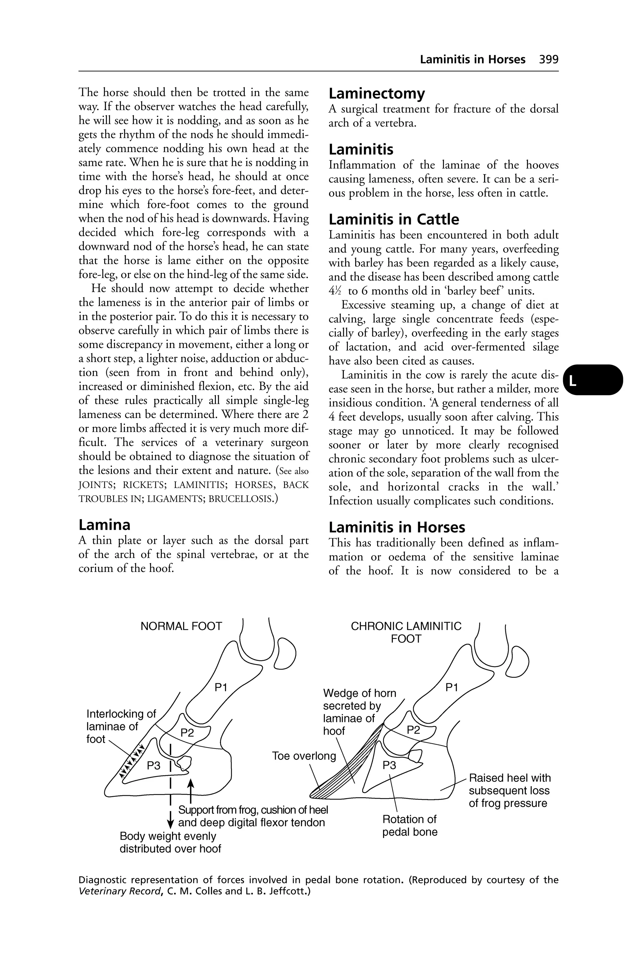 Veterinary dictionary _21st_edition