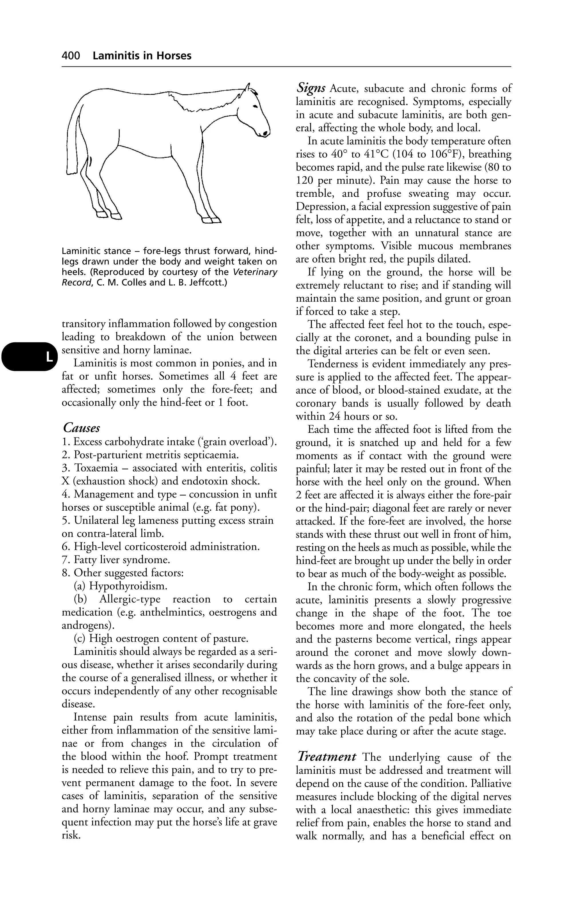 Veterinary dictionary _21st_edition