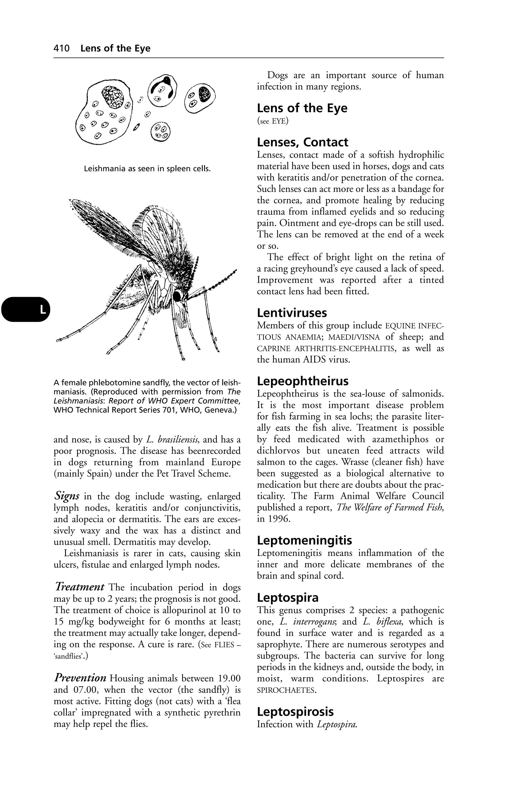 Veterinary dictionary _21st_edition