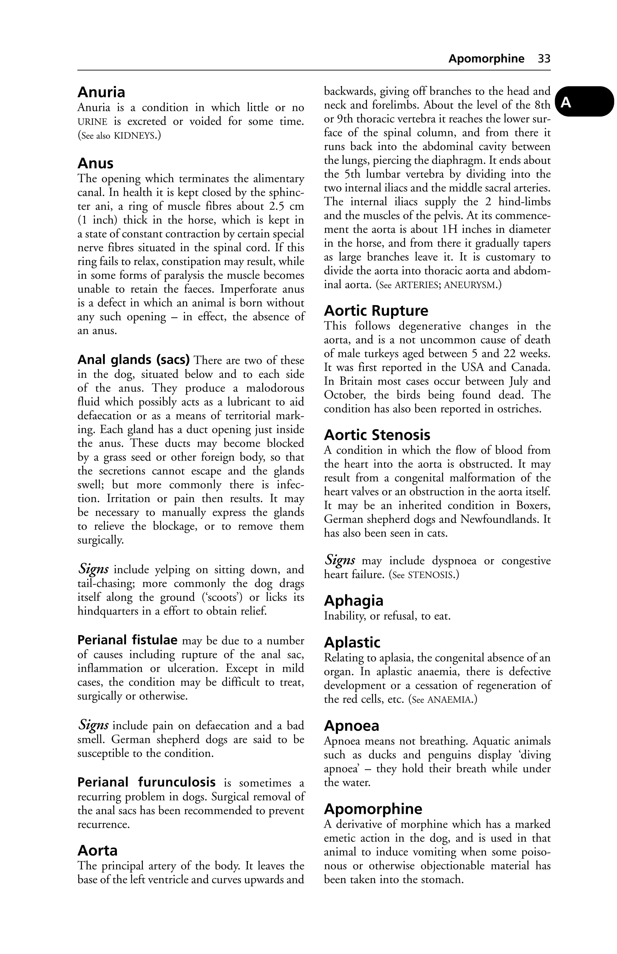 Anuria 
Anuria is a condition in which little or no 
URINE is excreted or voided for some time. 
(See also KIDNEYS.) 
Anus 
The opening which terminates the alimentary 
canal. In health it is kept closed by the sphinc-ter 
ani, a ring of muscle fibres about 2.5 cm 
(1 inch) thick in the horse, which is kept in 
a state of constant contraction by certain special 
nerve fibres situated in the spinal cord. If this 
ring fails to relax, constipation may result, while 
in some forms of paralysis the muscle becomes 
unable to retain the faeces. Imperforate anus 
is a defect in which an animal is born without 
any such opening – in effect, the absence of 
an anus. 
Anal glands (sacs) There are two of these 
in the dog, situated below and to each side 
of the anus. They produce a malodorous 
fluid which possibly acts as a lubricant to aid 
defaecation or as a means of territorial mark-ing. 
Each gland has a duct opening just inside 
the anus. These ducts may become blocked 
by a grass seed or other foreign body, so that 
the secretions cannot escape and the glands 
swell; but more commonly there is infec-tion. 
Irritation or pain then results. It may 
be necessary to manually express the glands 
to relieve the blockage, or to remove them 
surgically. 
Signs include yelping on sitting down, and 
tail-chasing; more commonly the dog drags 
itself along the ground (‘scoots’) or licks its 
hindquarters in a effort to obtain relief. 
Perianal fistulae may be due to a number 
of causes including rupture of the anal sac, 
inflammation or ulceration. Except in mild 
cases, the condition may be difficult to treat, 
surgically or otherwise. 
Signs include pain on defaecation and a bad 
smell. German shepherd dogs are said to be 
susceptible to the condition. 
Perianal furunculosis is sometimes a 
recurring problem in dogs. Surgical removal of 
the anal sacs has been recommended to prevent 
recurrence. 
Aorta 
The principal artery of the body. It leaves the 
base of the left ventricle and curves upwards and 
Apomorphine 33 
backwards, giving off branches to the head and 
neck and forelimbs. About the level of the 8th 
or 9th thoracic vertebra it reaches the lower sur-face 
of the spinal column, and from there it 
runs back into the abdominal cavity between 
the lungs, piercing the diaphragm. It ends about 
the 5th lumbar vertebra by dividing into the 
two internal iliacs and the middle sacral arteries. 
The internal iliacs supply the 2 hind-limbs 
and the muscles of the pelvis. At its commence-ment 
the aorta is about 1H inches in diameter 
in the horse, and from there it gradually tapers 
as large branches leave it. It is customary to 
divide the aorta into thoracic aorta and abdom-inal 
aorta. (See ARTERIES; ANEURYSM.) 
Aortic Rupture 
This follows degenerative changes in the 
aorta, and is a not uncommon cause of death 
of male turkeys aged between 5 and 22 weeks. 
It was first reported in the USA and Canada. 
In Britain most cases occur between July and 
October, the birds being found dead. The 
condition has also been reported in ostriches. 
Aortic Stenosis 
A condition in which the flow of blood from 
the heart into the aorta is obstructed. It may 
result from a congenital malformation of the 
heart valves or an obstruction in the aorta itself. 
It may be an inherited condition in Boxers, 
German shepherd dogs and Newfoundlands. It 
has also been seen in cats. 
Signs may include dyspnoea or congestive 
heart failure. (See STENOSIS.) 
Aphagia 
Inability, or refusal, to eat. 
Aplastic 
Relating to aplasia, the congenital absence of an 
organ. In aplastic anaemia, there is defective 
development or a cessation of regeneration of 
the red cells, etc. (See ANAEMIA.) 
Apnoea 
Apnoea means not breathing. Aquatic animals 
such as ducks and penguins display ‘diving 
apnoea’ – they hold their breath while under 
the water. 
Apomorphine 
A derivative of morphine which has a marked 
emetic action in the dog, and is used in that 
animal to induce vomiting when some poiso-nous 
or otherwise objectionable material has 
been taken into the stomach. 
A 
 